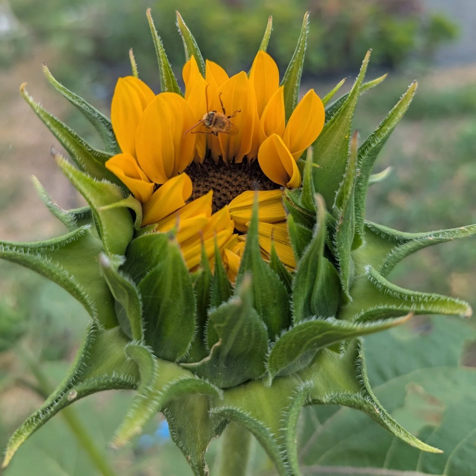 Cold days are for dreaming.