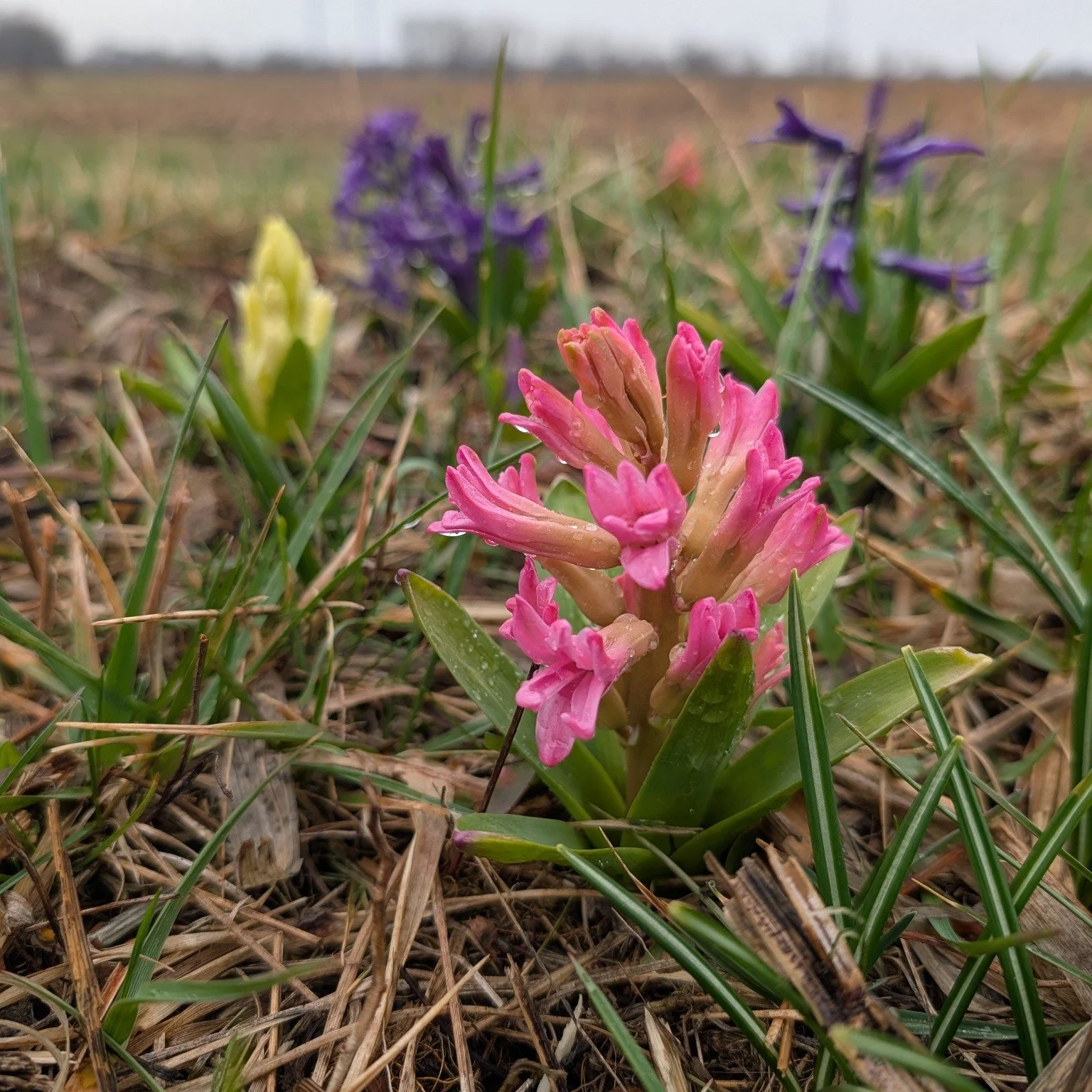 You know what they say about April's showers...
