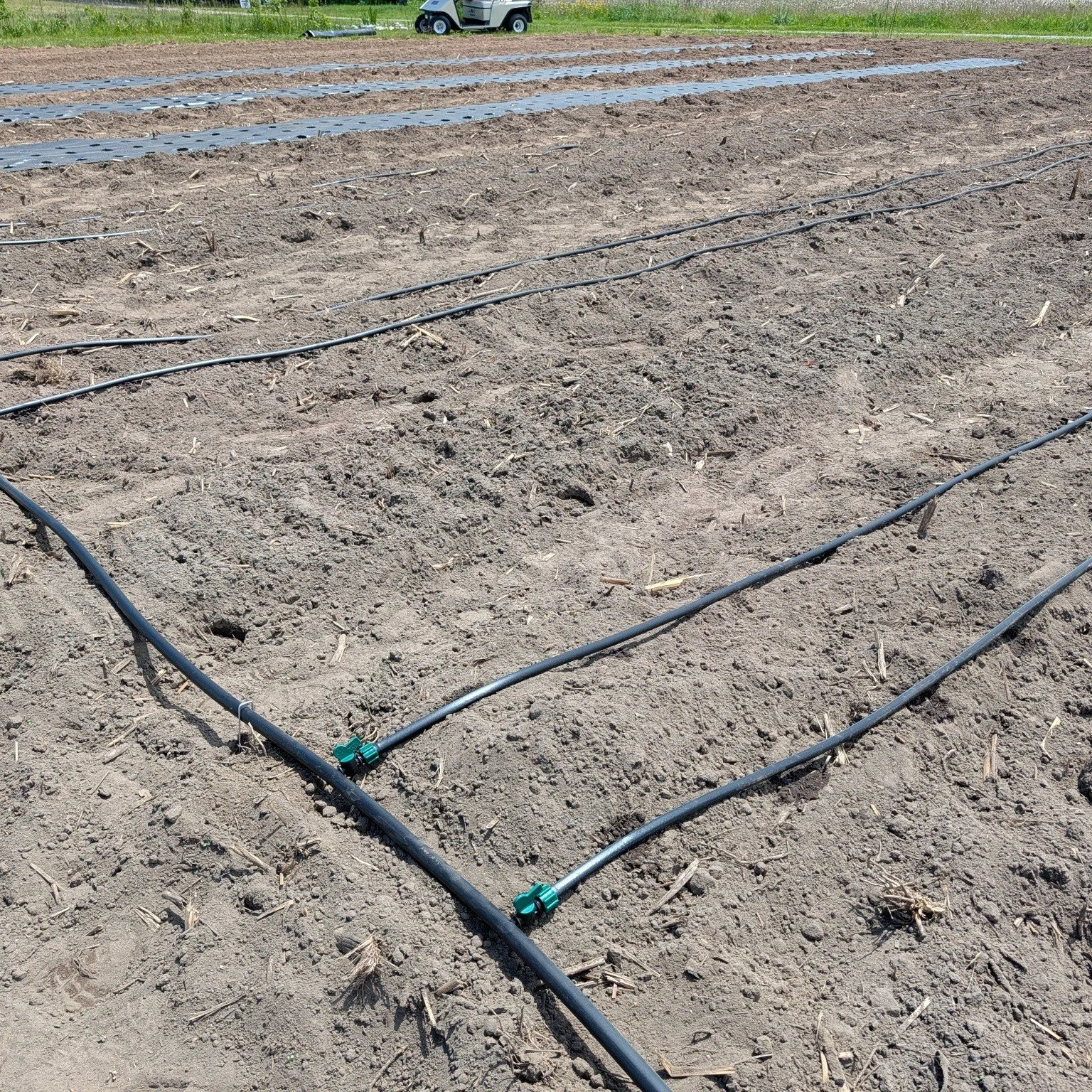 Not the most visually appealing photo, but it is an exciting one! The first half of the UPick field is planted and irrigation is set up! 

Who's ready to pick sunflowers, cosmos, zinnias, dahlias and more this summer?!