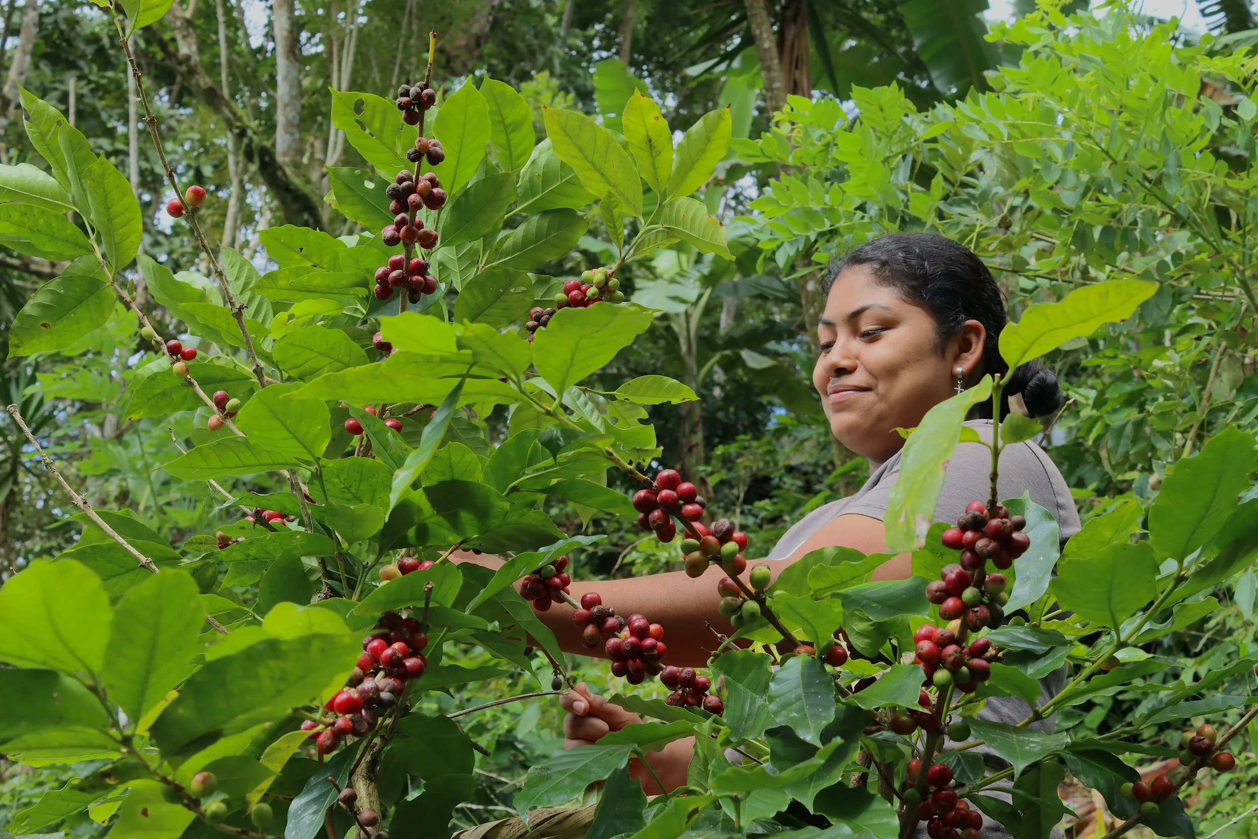 Sugeydi Sánchez-socia de la cooperativa.JPG