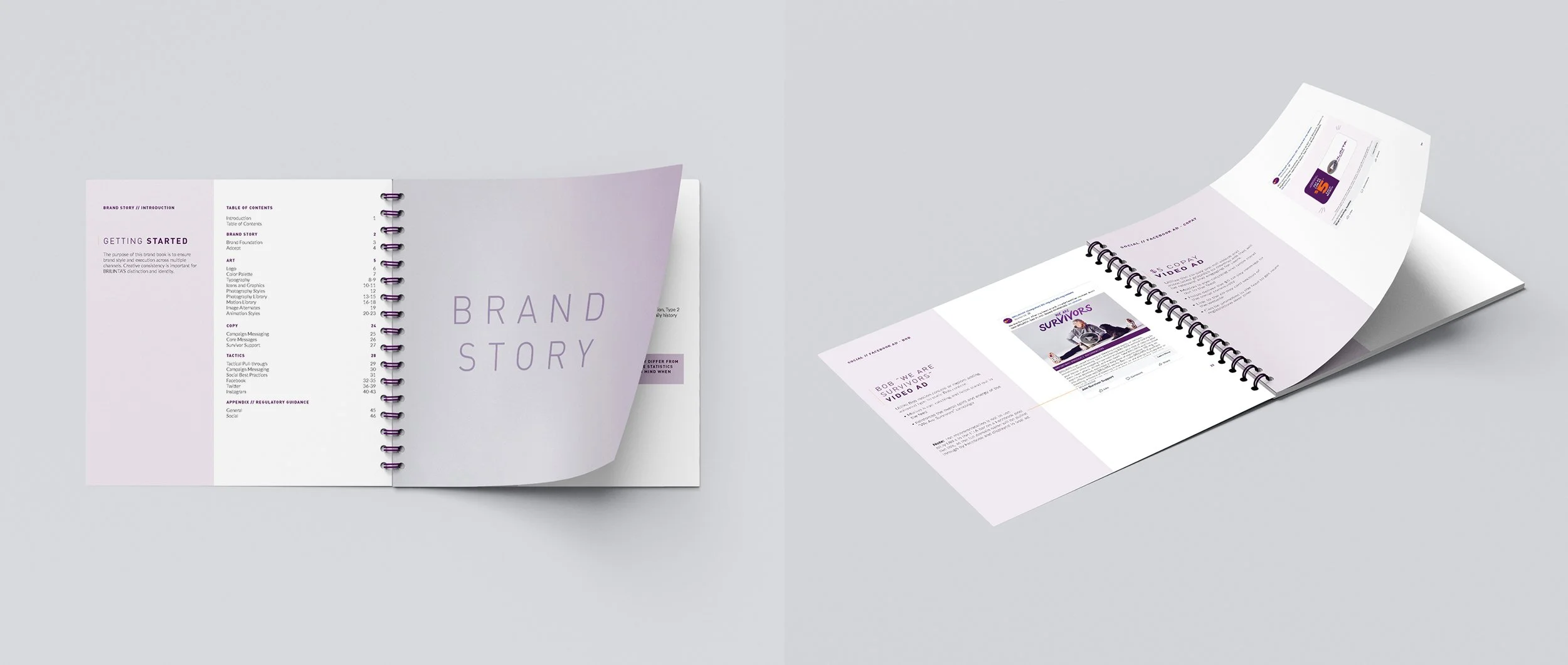 AlanGrant_Portfolio_Brilinta_SubPages1.jpg