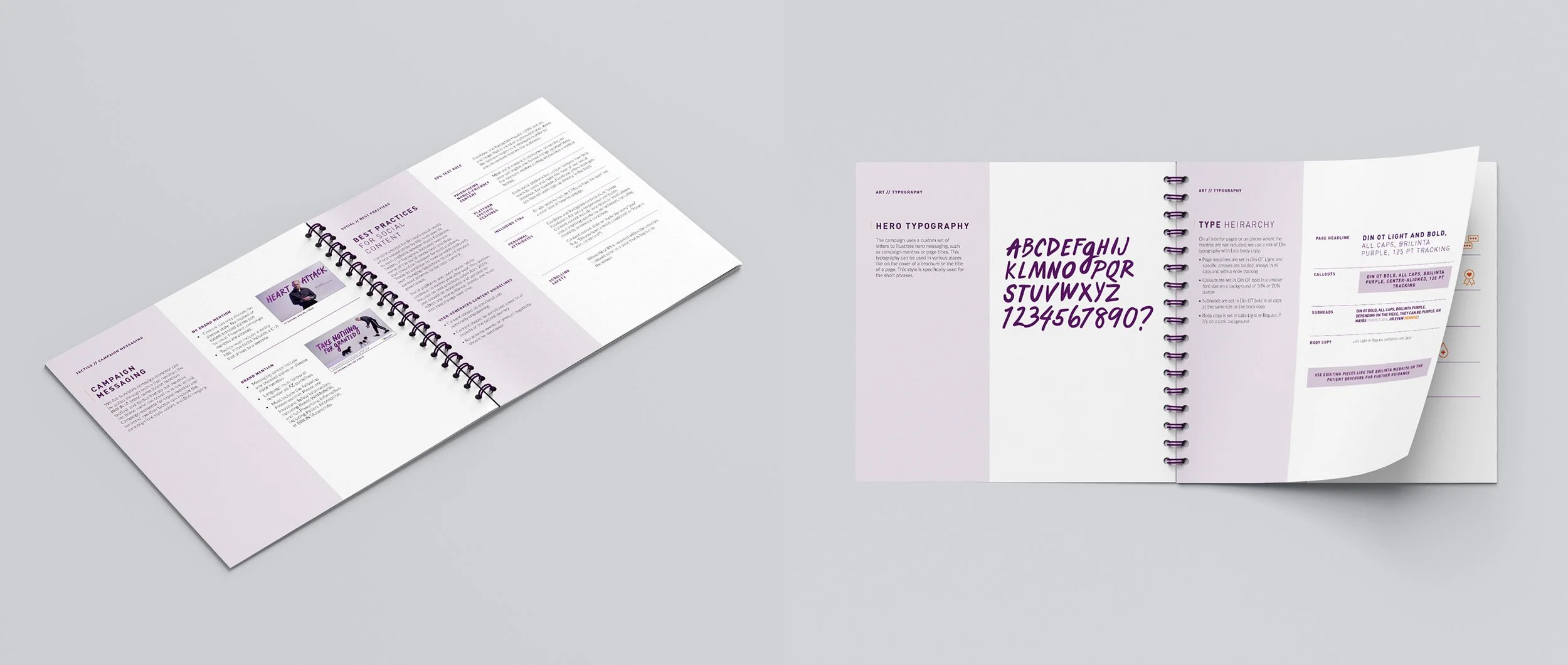 AlanGrant_Portfolio_Brilinta_SubPages2.jpg