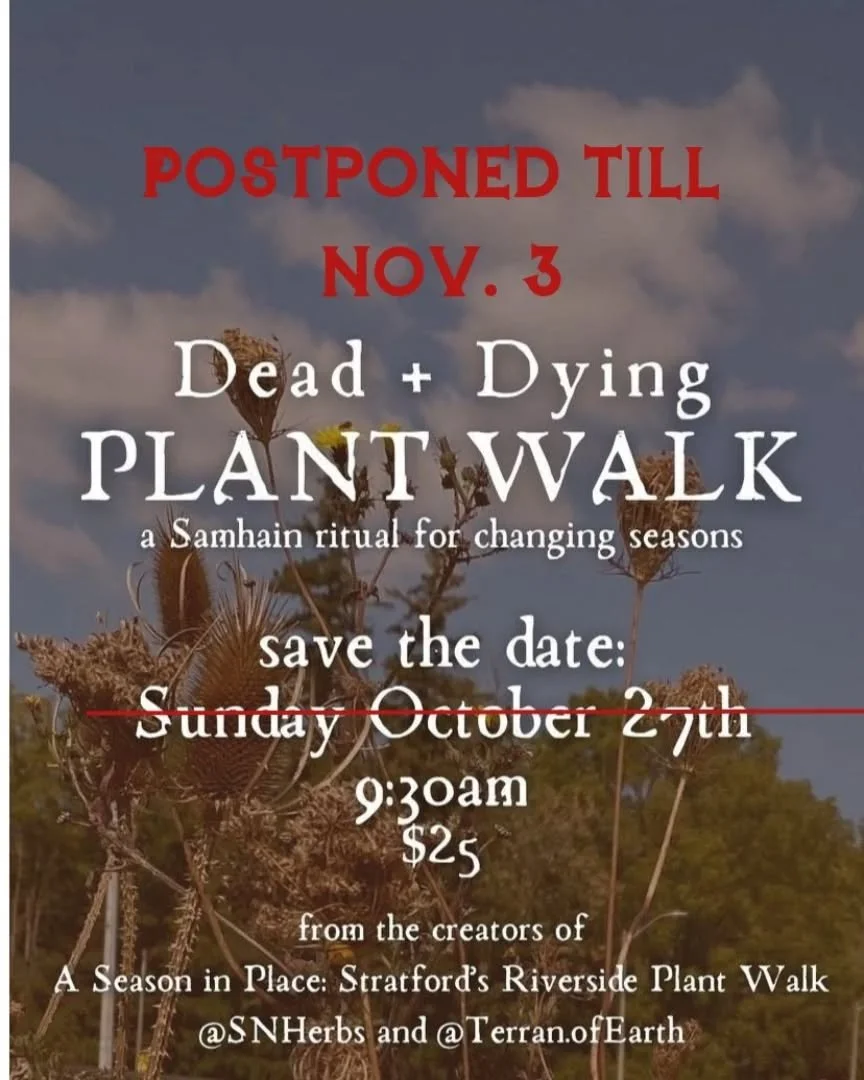 IMPORTANT PLANT WALK UPDATE: NEW DATE

We have had bad luck this year with plant walks being cancelled due to forces beyond our control. 

And due to a COVID infection,  we are NOT cancelling the best/final one of the year, we are rescheduling!! 

Jo