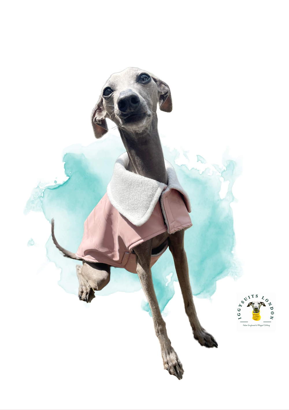 Greyhound shop rain mac