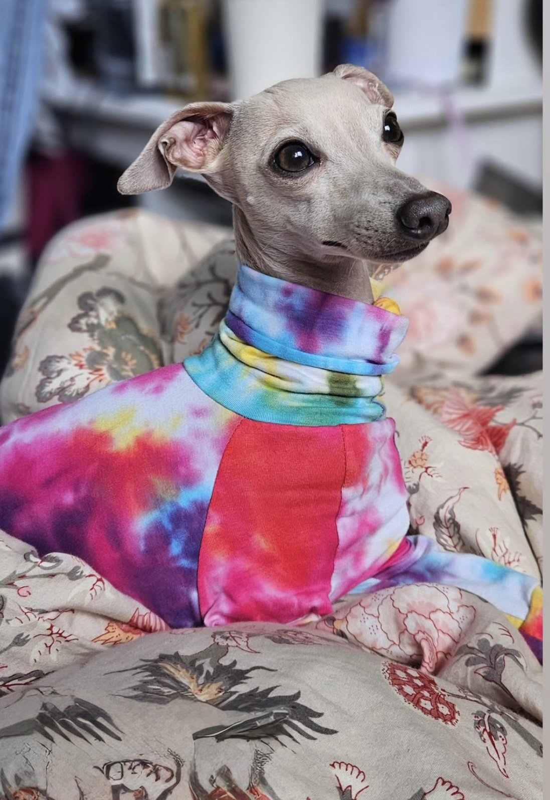 6E5475E3-F185-43F4-A893-ED6CA8B6E327.jpeg