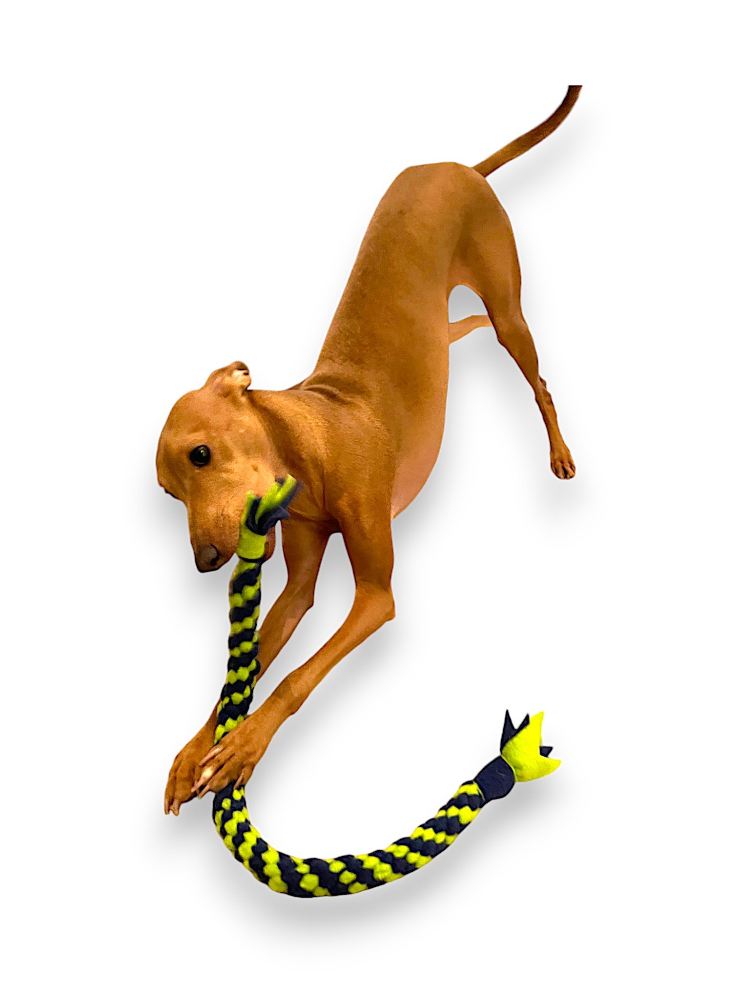 longtoy3-Photoroom.jpg