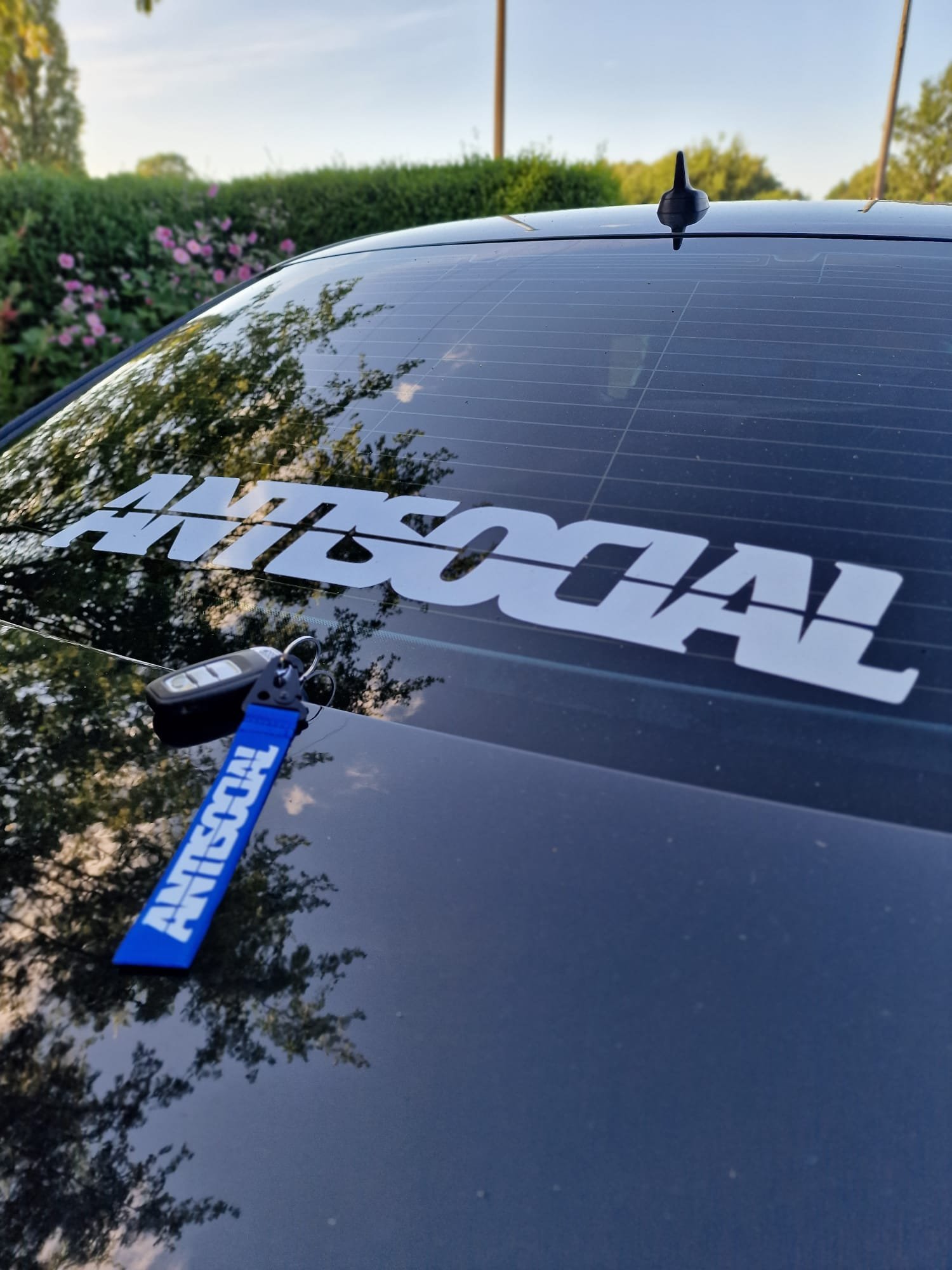 Antosocial on Car.jpeg