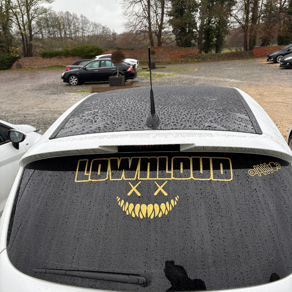 Copy of Your paragraph text (5).png