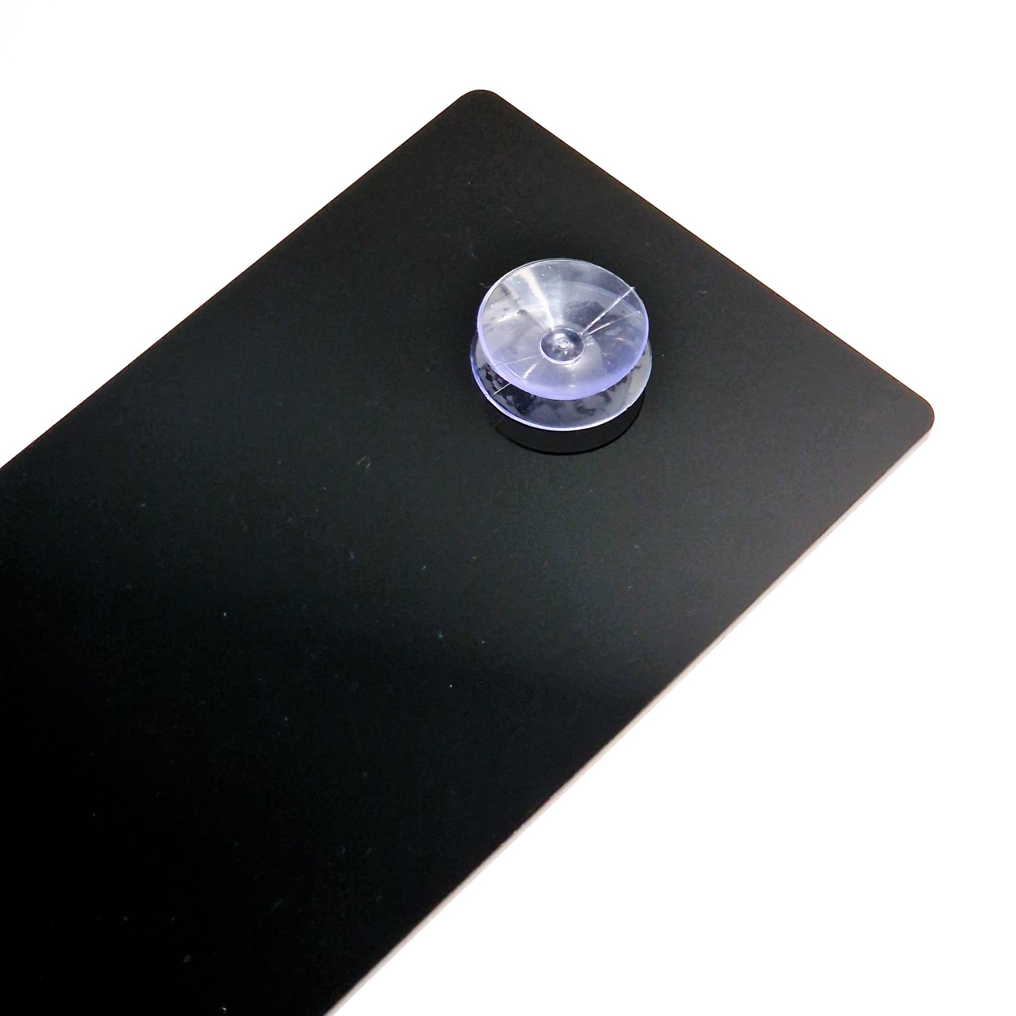 Suction Cup on Number Plate.jpeg