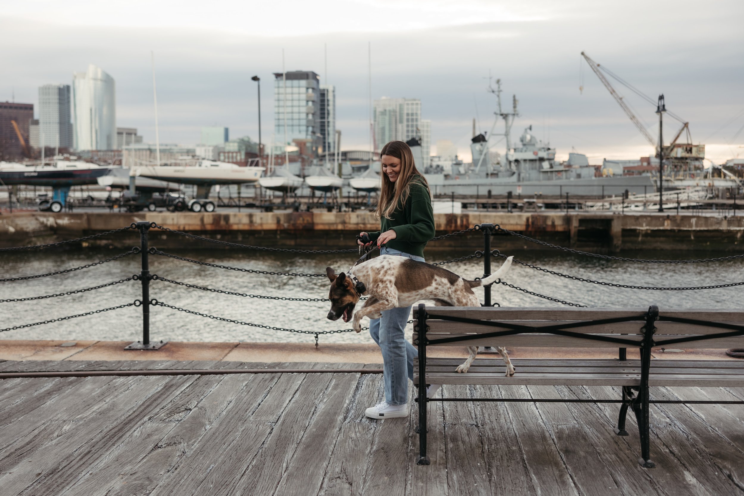 The Taylored Dog Boston Dog Trainer I In Home Dog Training