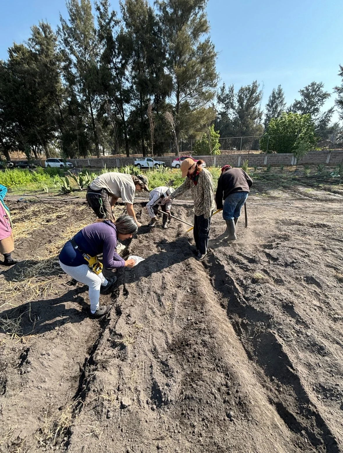 Volunteer Testimonial ~April 2024