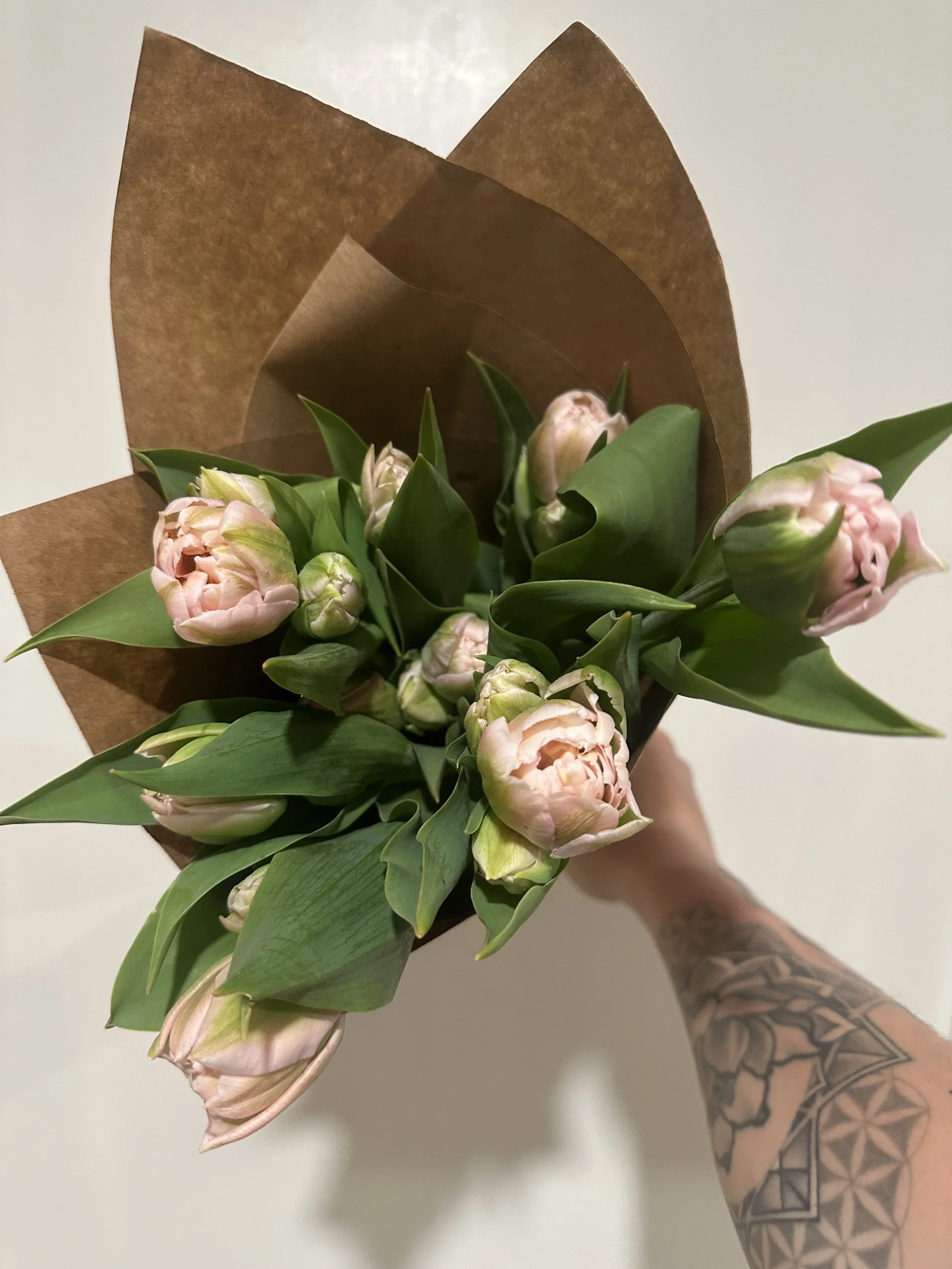 tulip dreamer wrapped.jpg