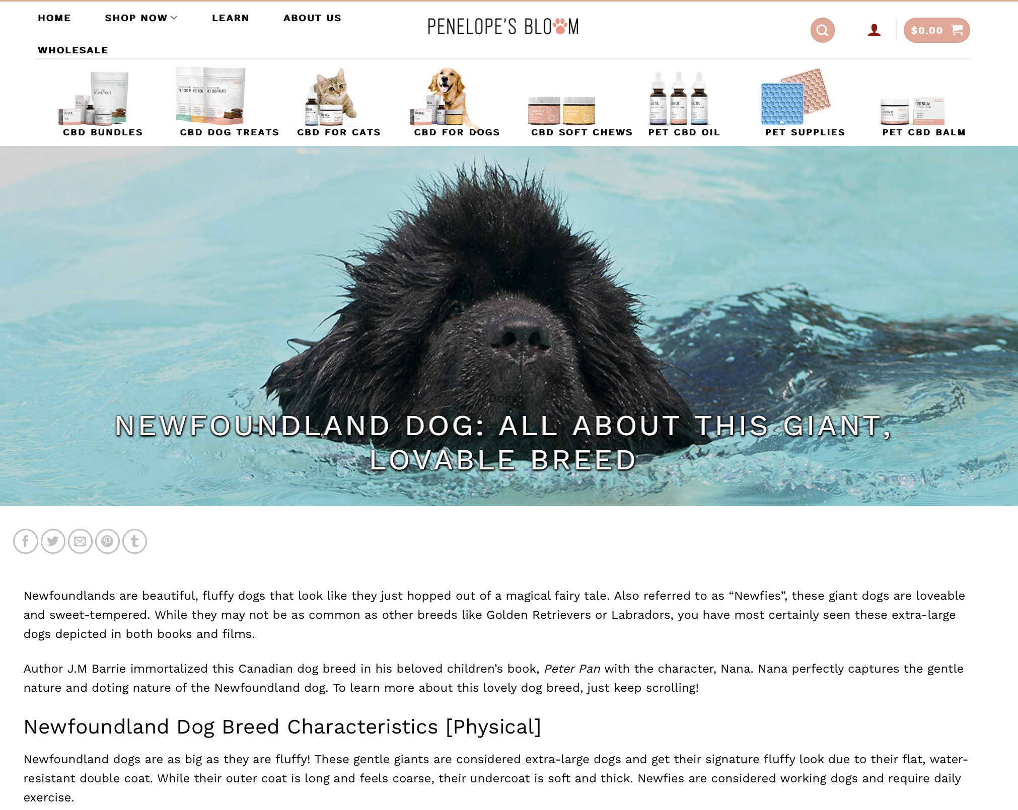 Screenshot 2024-06-06 at 3.53.37 PM.png