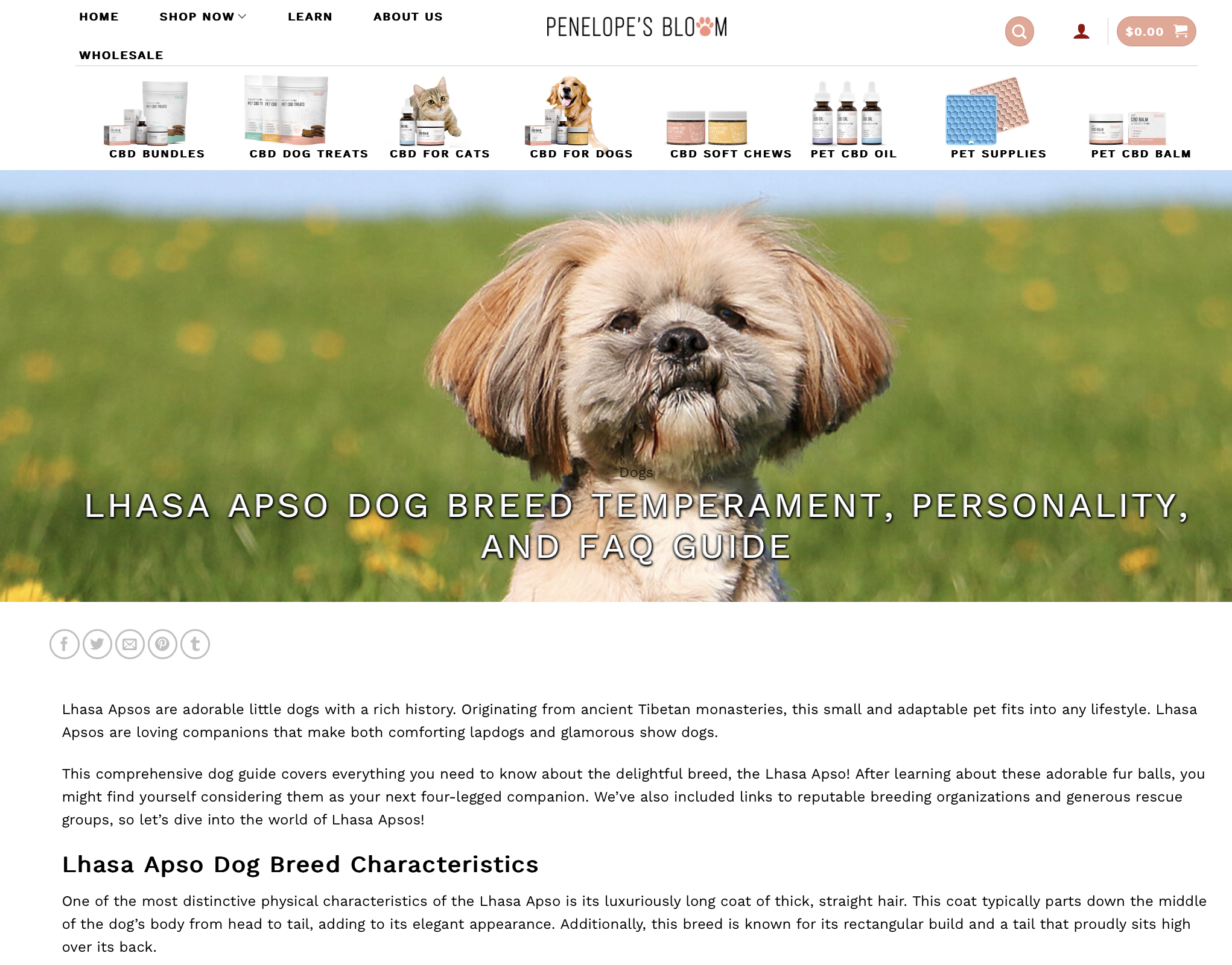 Screenshot 2024-06-06 at 3.54.31 PM.png