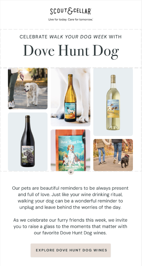 Screenshot 2025-10-15 at 9.14.20 AM.png