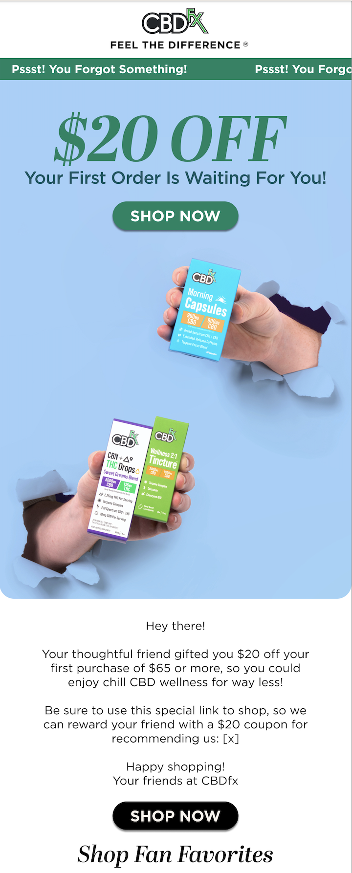 Screenshot 2023-10-10 at 3.11.22 PM.png