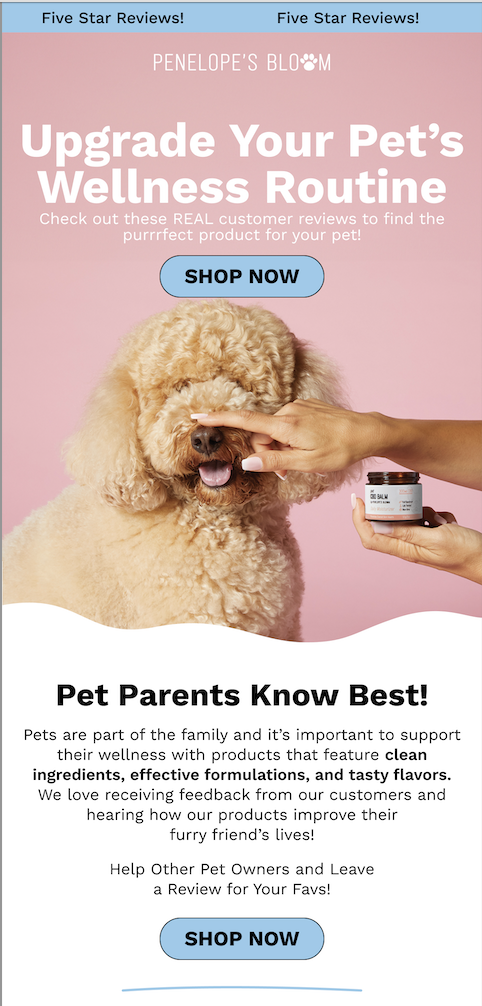 Screenshot 2024-06-06 at 3.38.30 PM.png