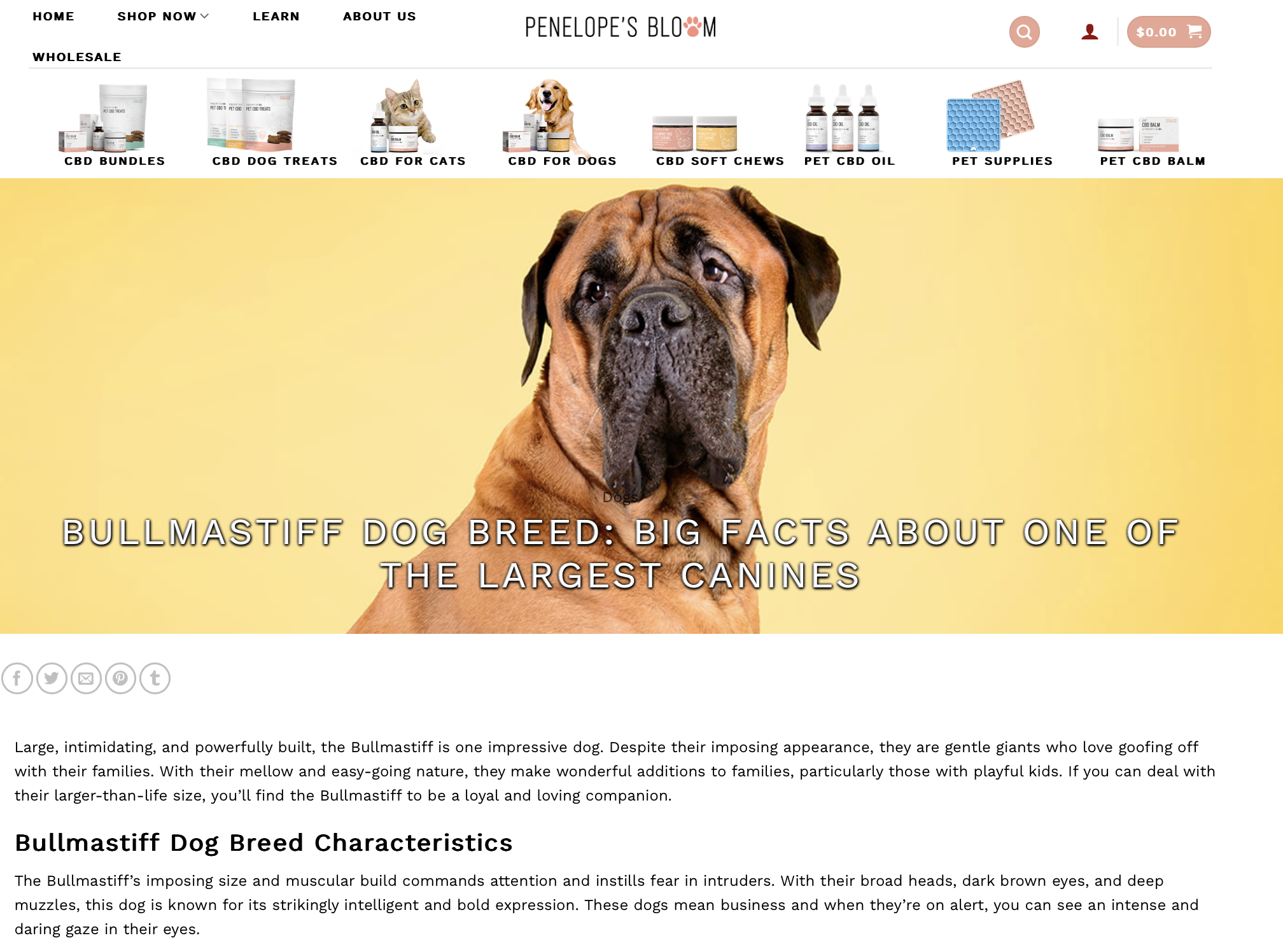 Screenshot 2024-06-06 at 3.54.57 PM.png