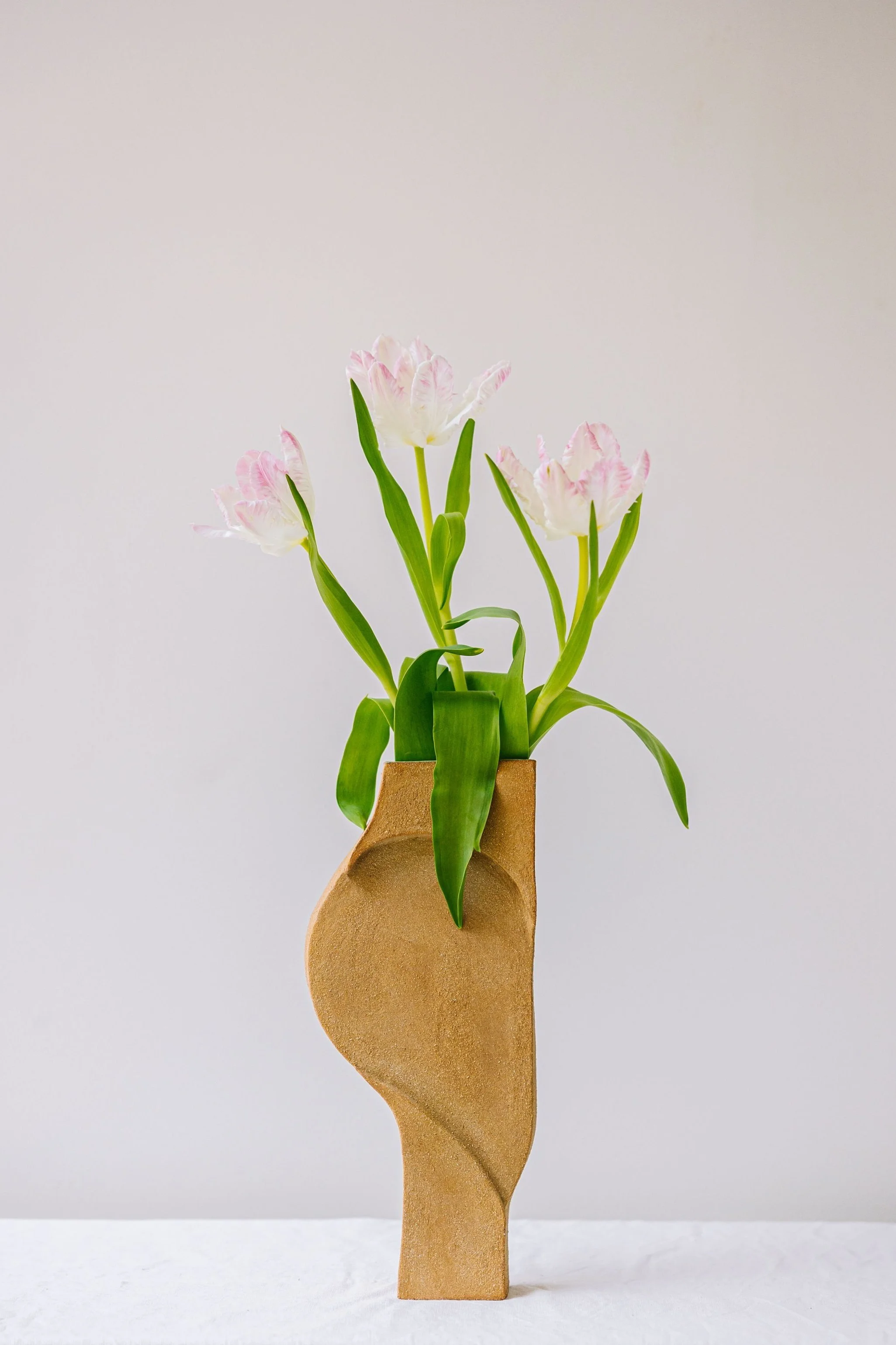 Bas-relief – art céramique –sculpture hill – Caroline Desile