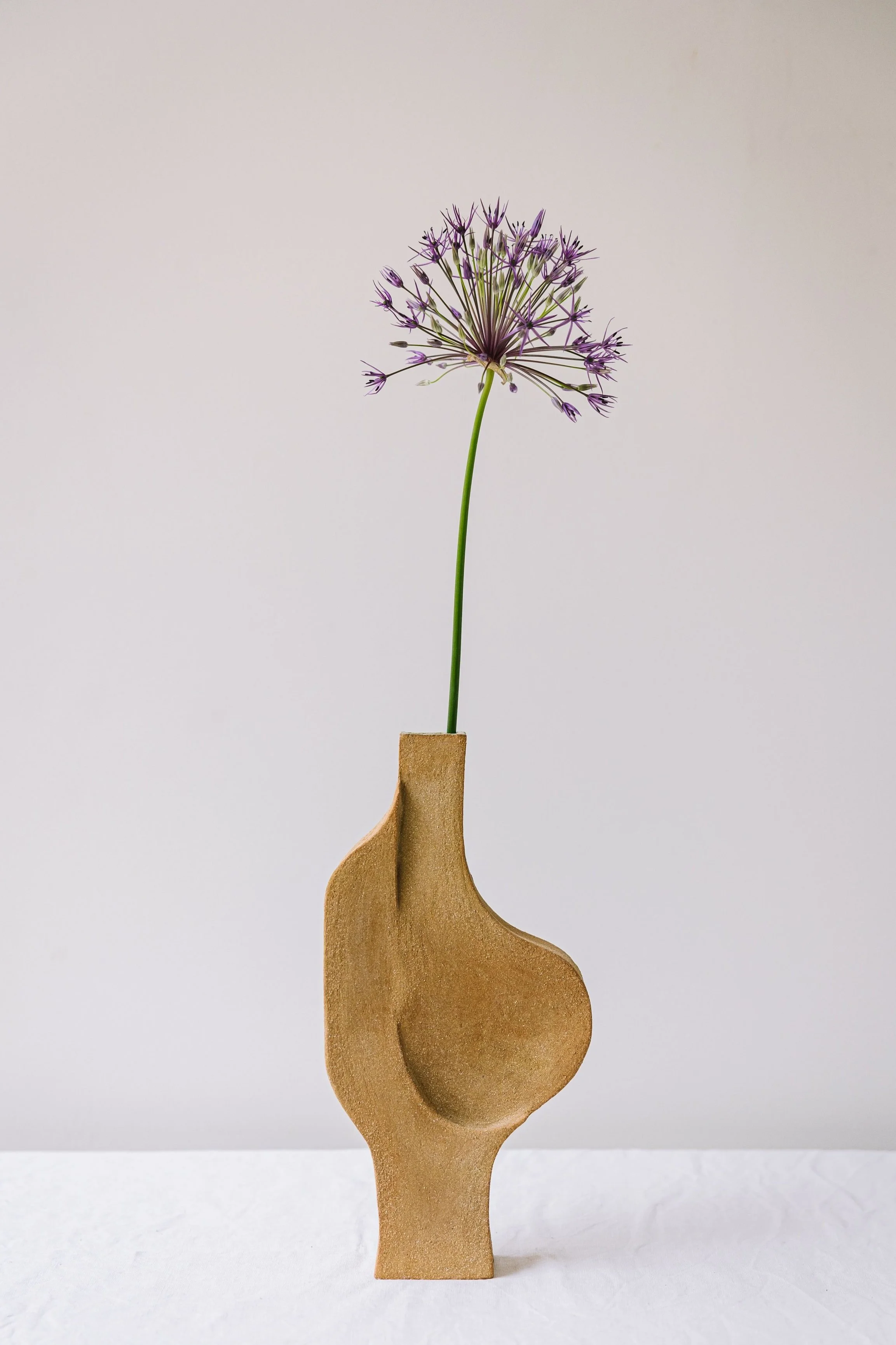 Bas-relief – art céramique –sculpture hill – Caroline Desile