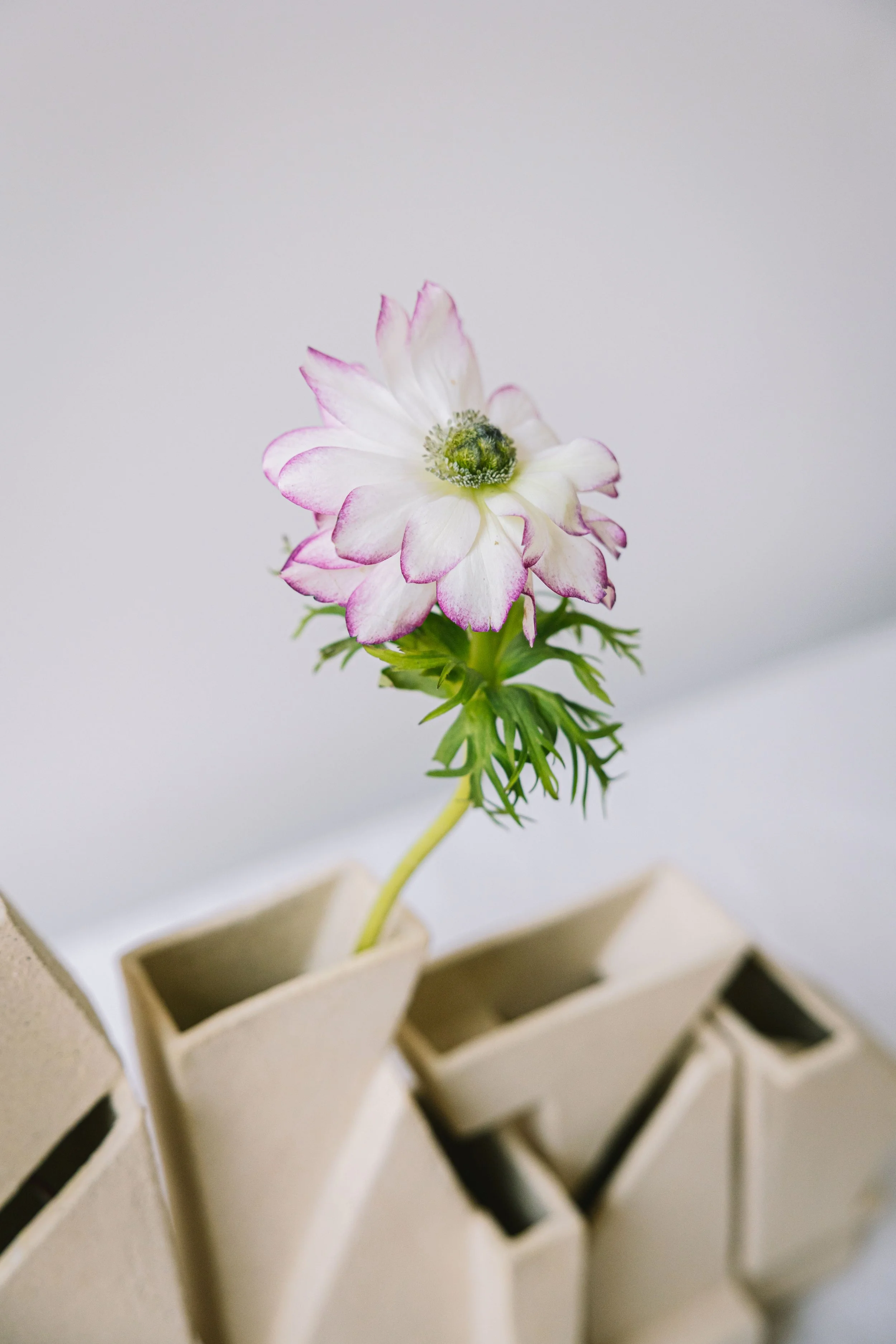 Bas-relief – art céramique –sculpture cliff – Caroline Desile