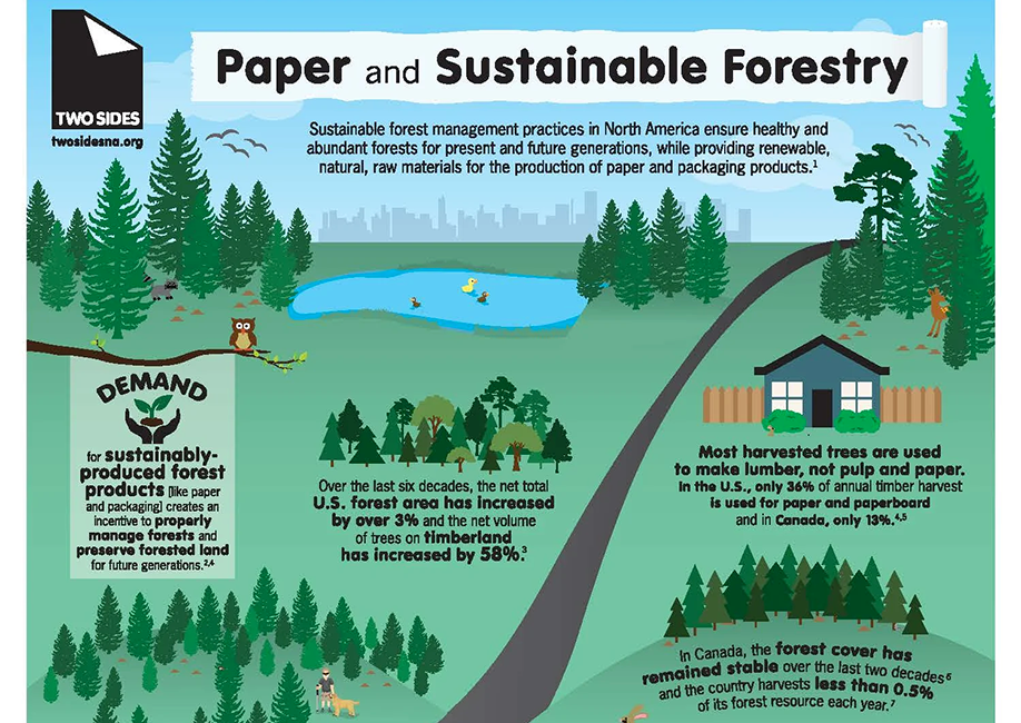Illustrating sustainability, sparking awareness.