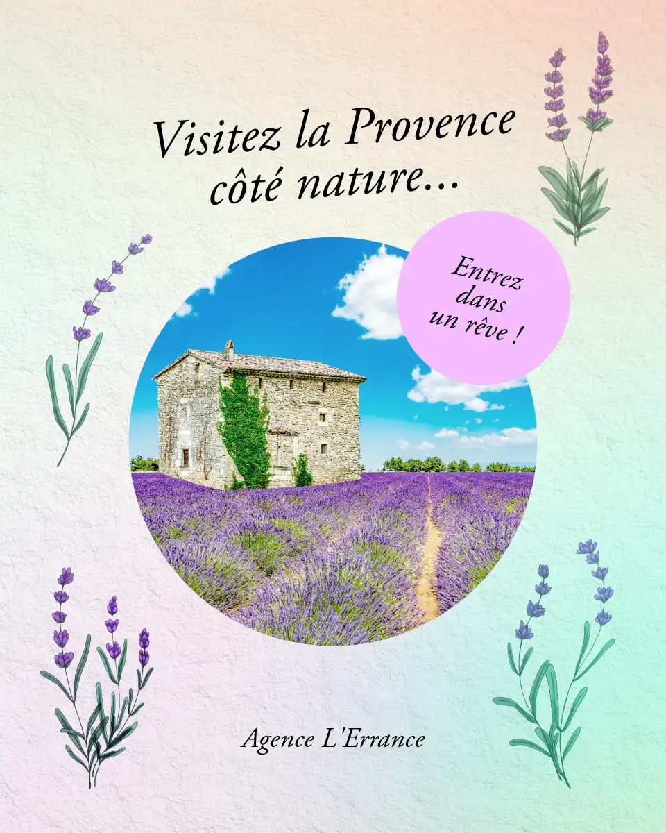 Publicité Instagram Violet Provence Vacances.jpg