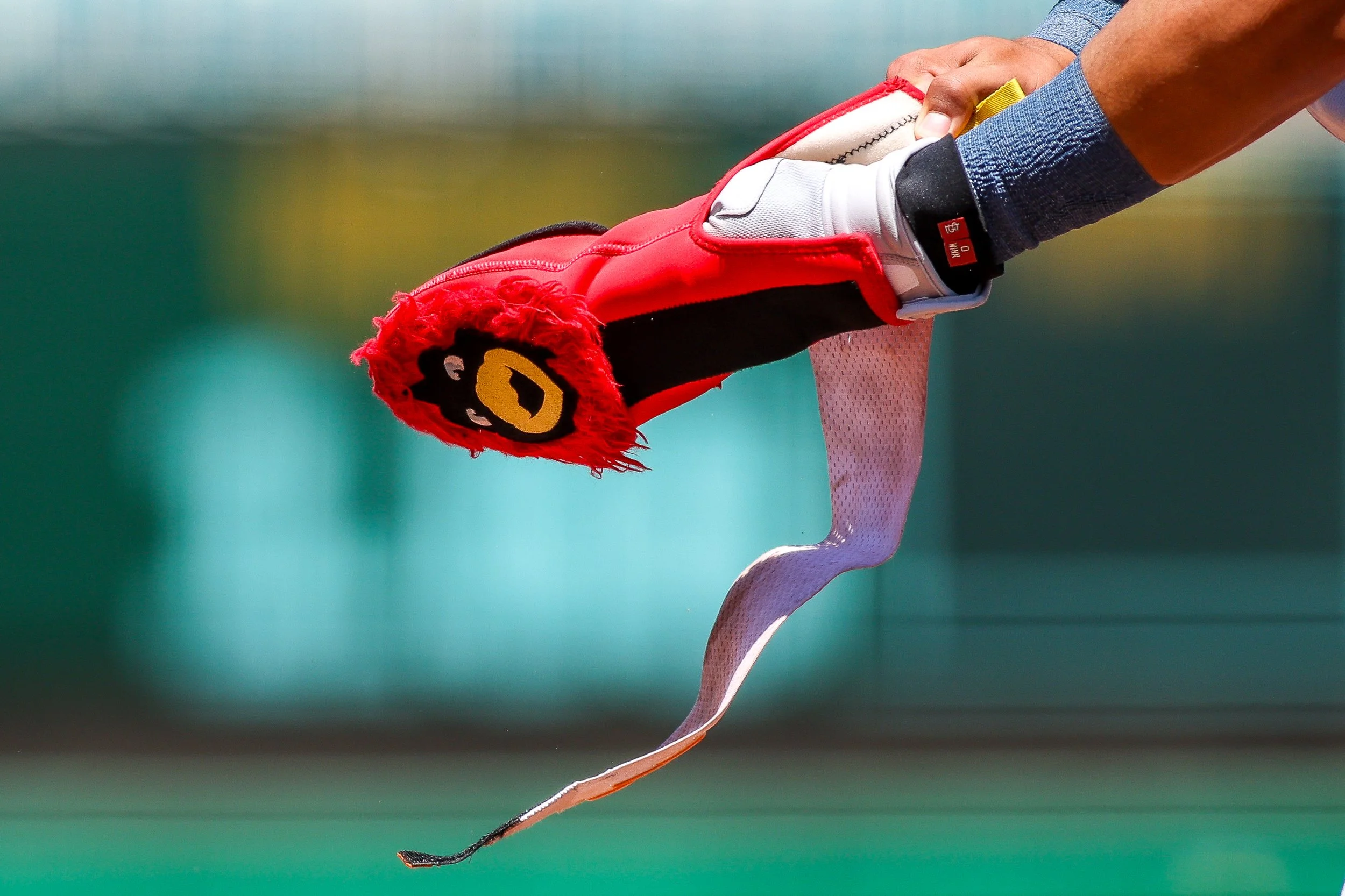St. Louis Cardinals’ Masyn Winn attempts to put on his sliding mitt during the fourth inning of a baseball game against the Athletics Thursday, May 14, 2026, in West Sacramento, Calif. (AP Photo/Scott Marshall)