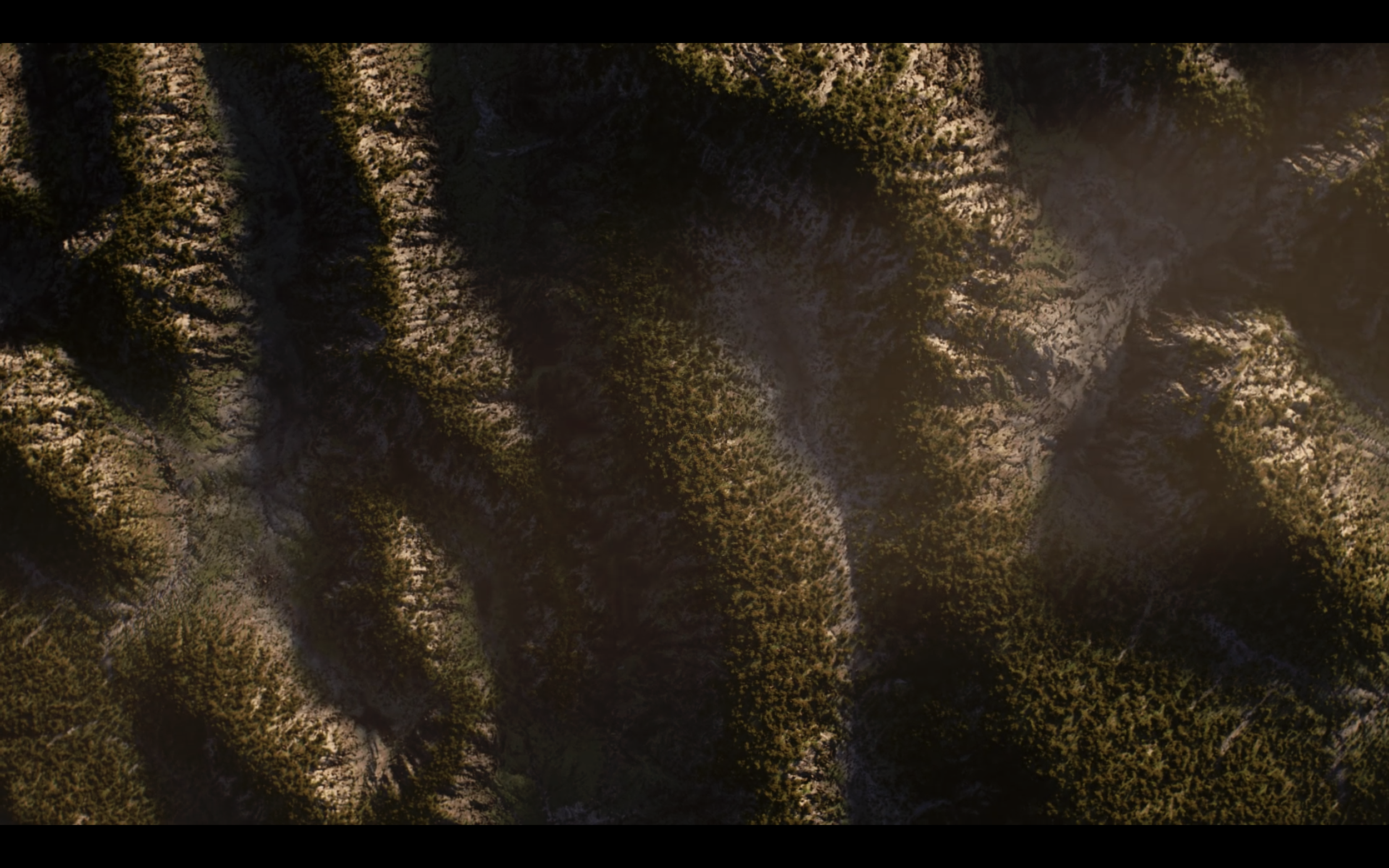 Screenshot 2024-07-06 at 11.38.04 AM.png