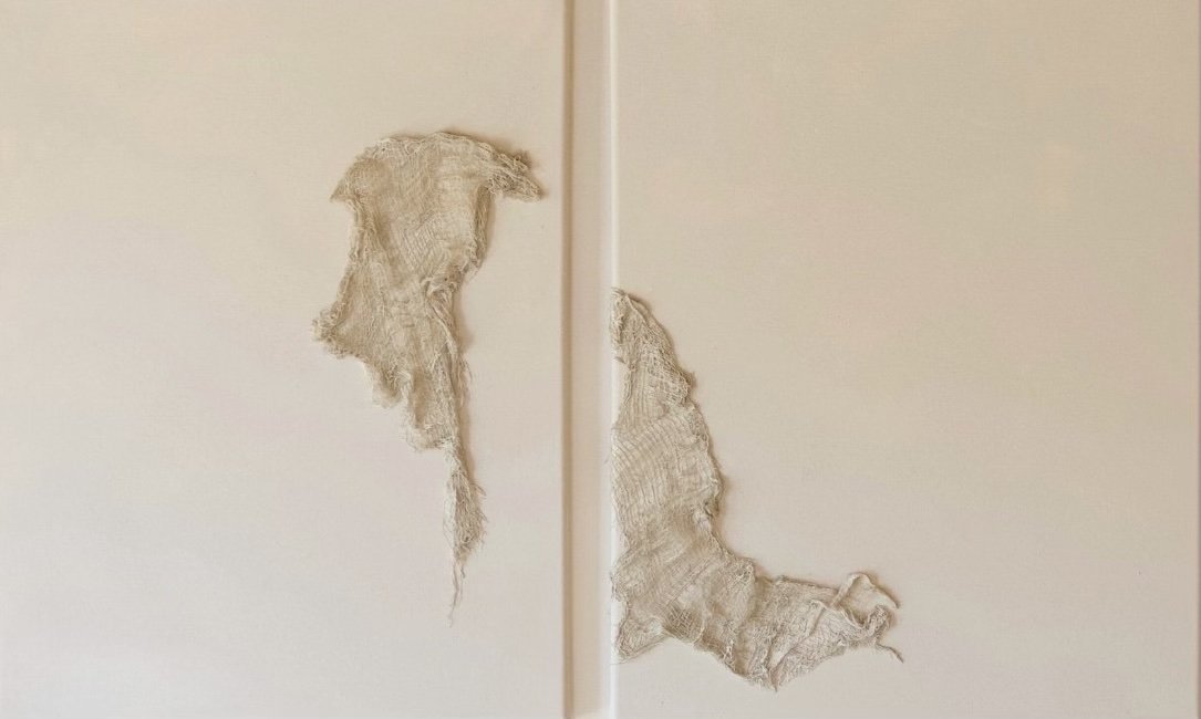attachment | 2024 |
mixed media on canvas |
diptych |
16 x 20 in x 2