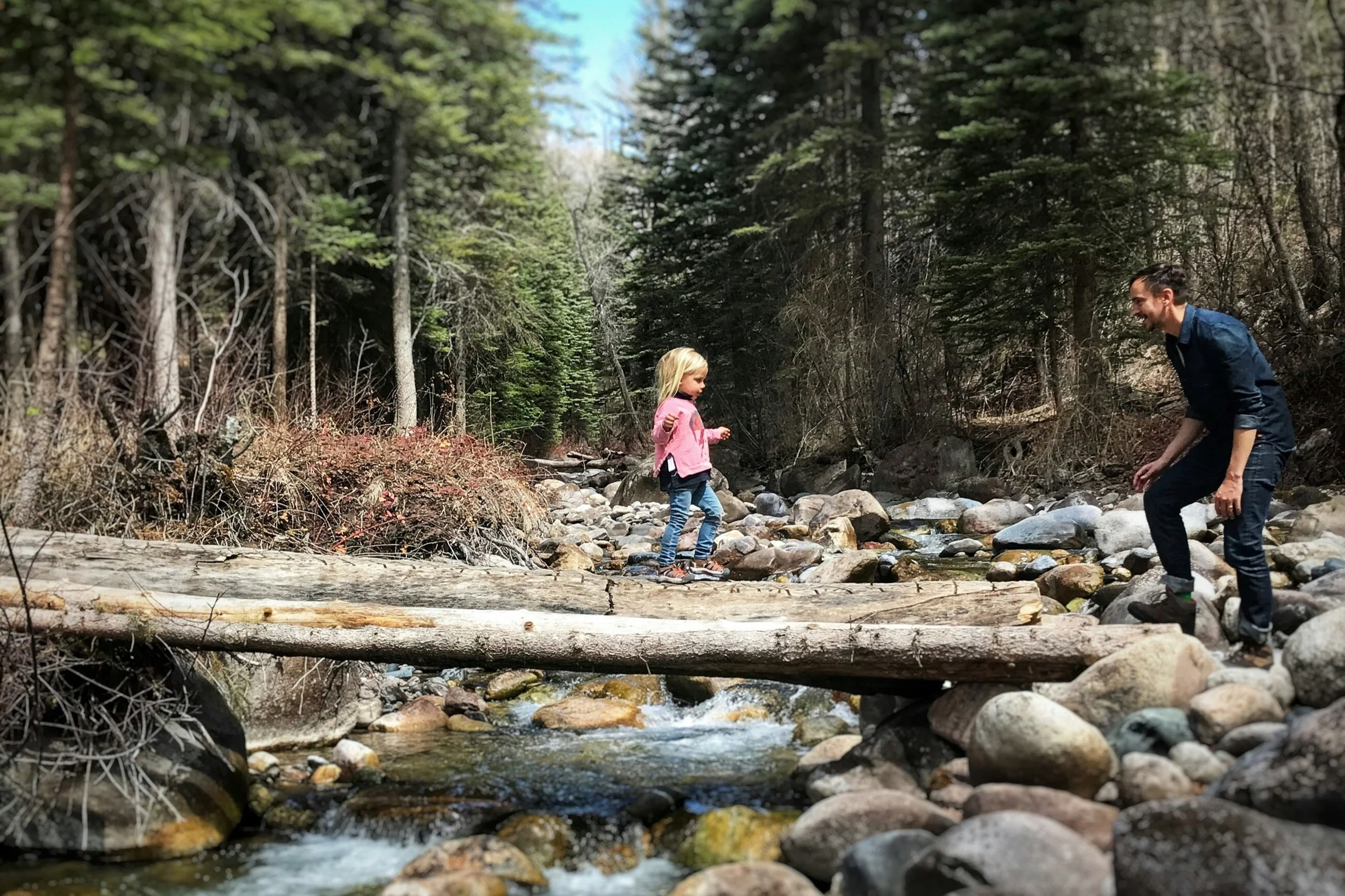 A young child carefully balancing on a log across a forest stream, reflecting the process of learning confidence and emotional regulation through parent therapy in Walnut Creek.