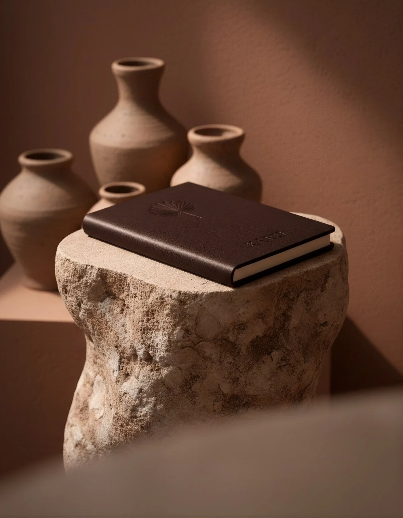 Branding and website packages - Humid