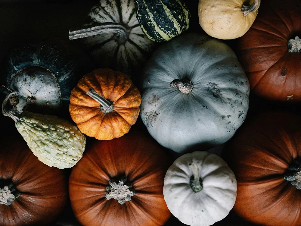 More than Pie – it’s Pumpkin Season!