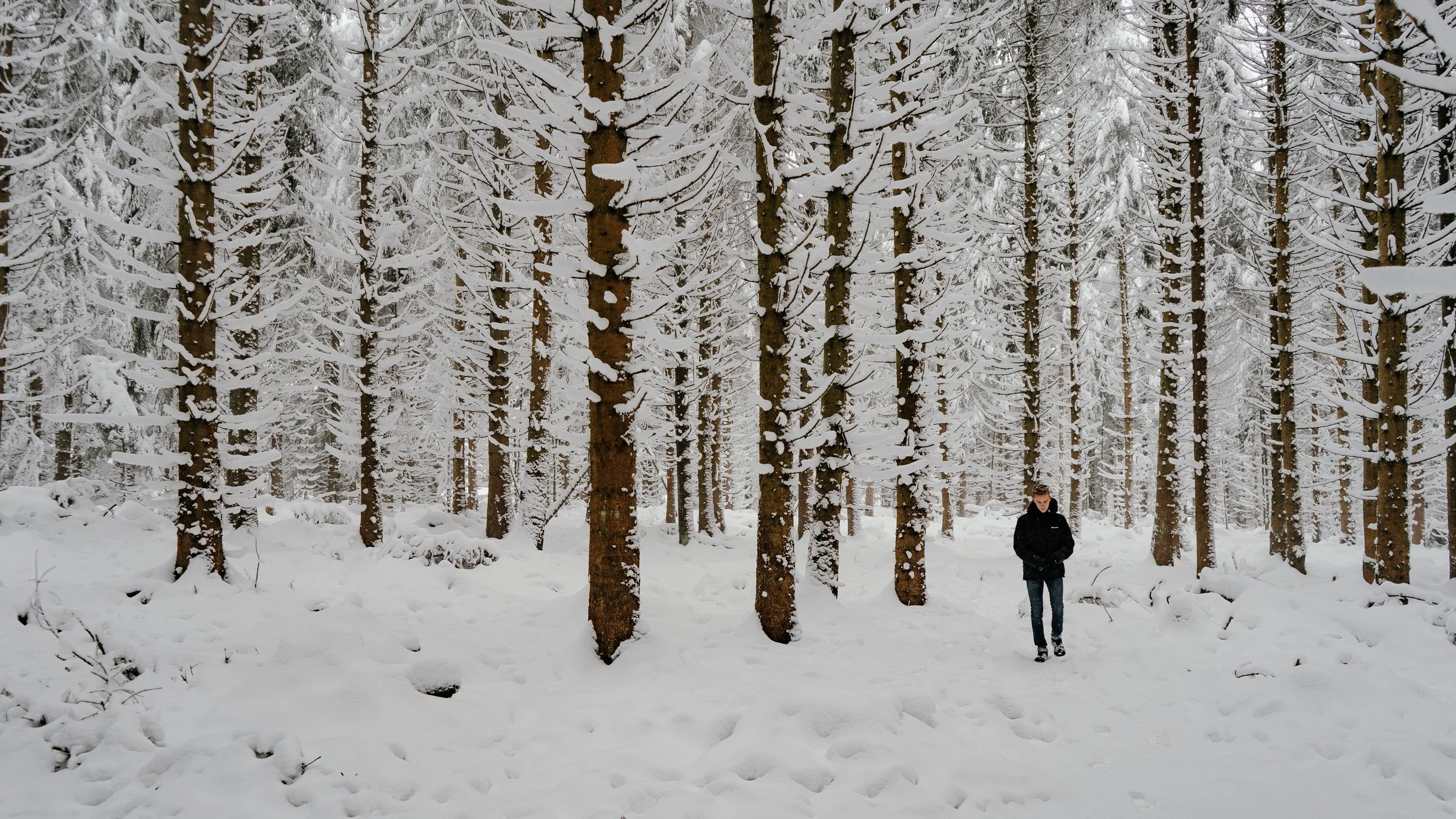 Ein Mann läuft durch einen verschneiten Wald mit hohen Bäumen, deren Äste mit Schnee bedeckt sind.