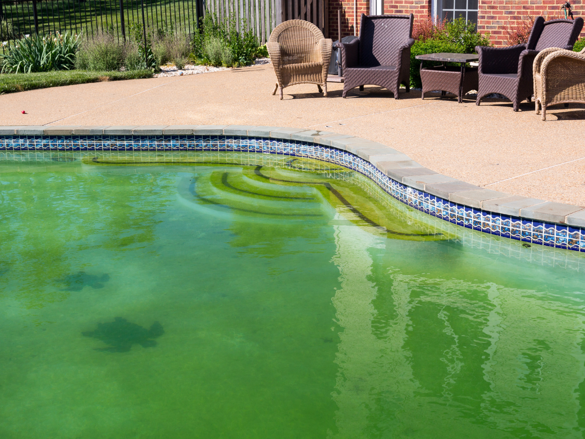 Why Is My Pool Green? Understanding Algae and How to Fix It Fast