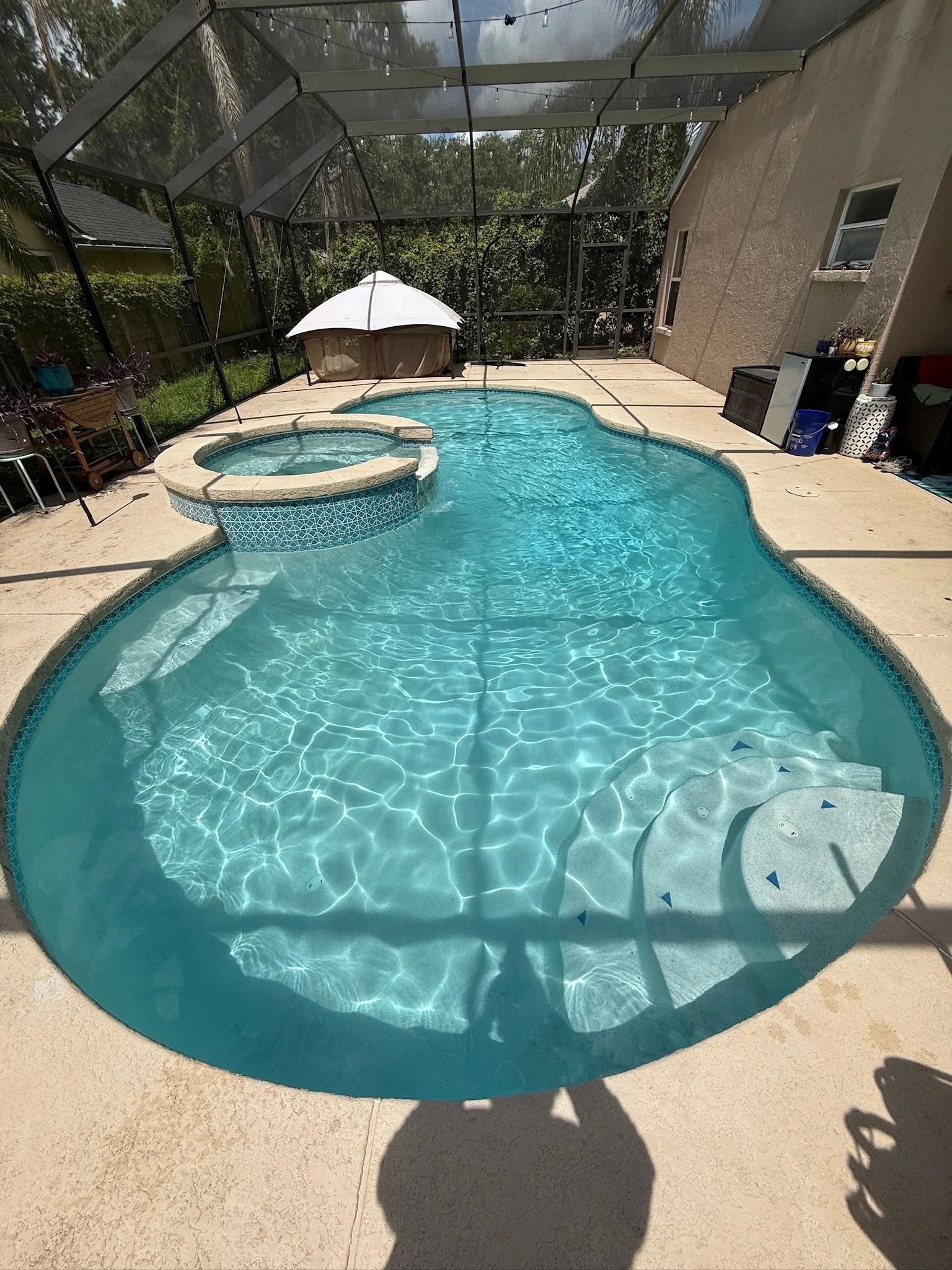How to Prevent a Green Pool in Tampa’s Climate