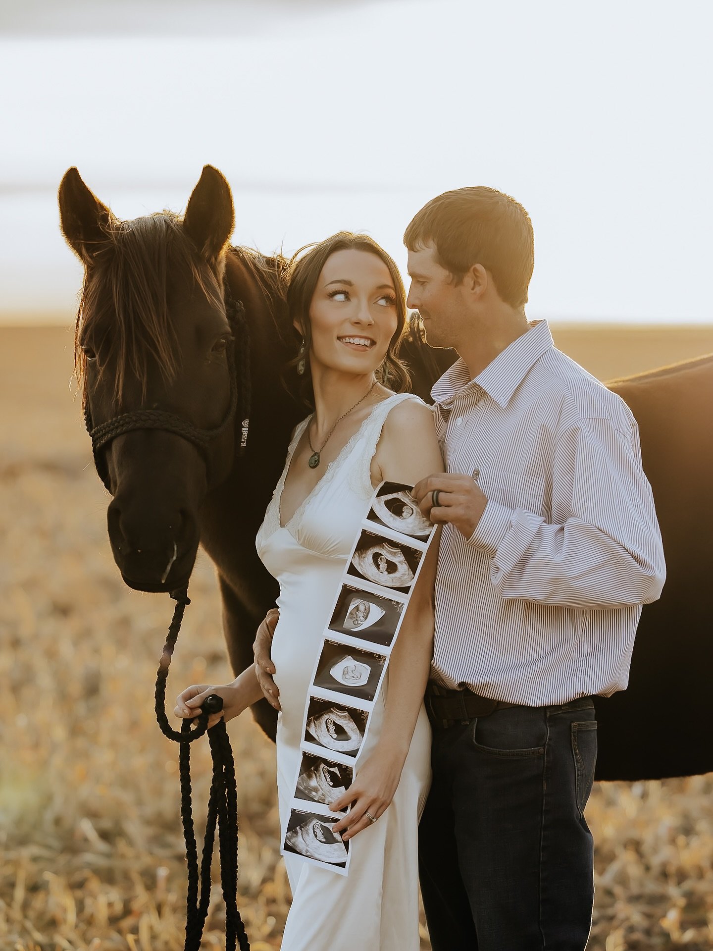 Everyone needs pregnancy announcement photos with their favorite horse at sunset 🌅

I can help make that happen! 🤪