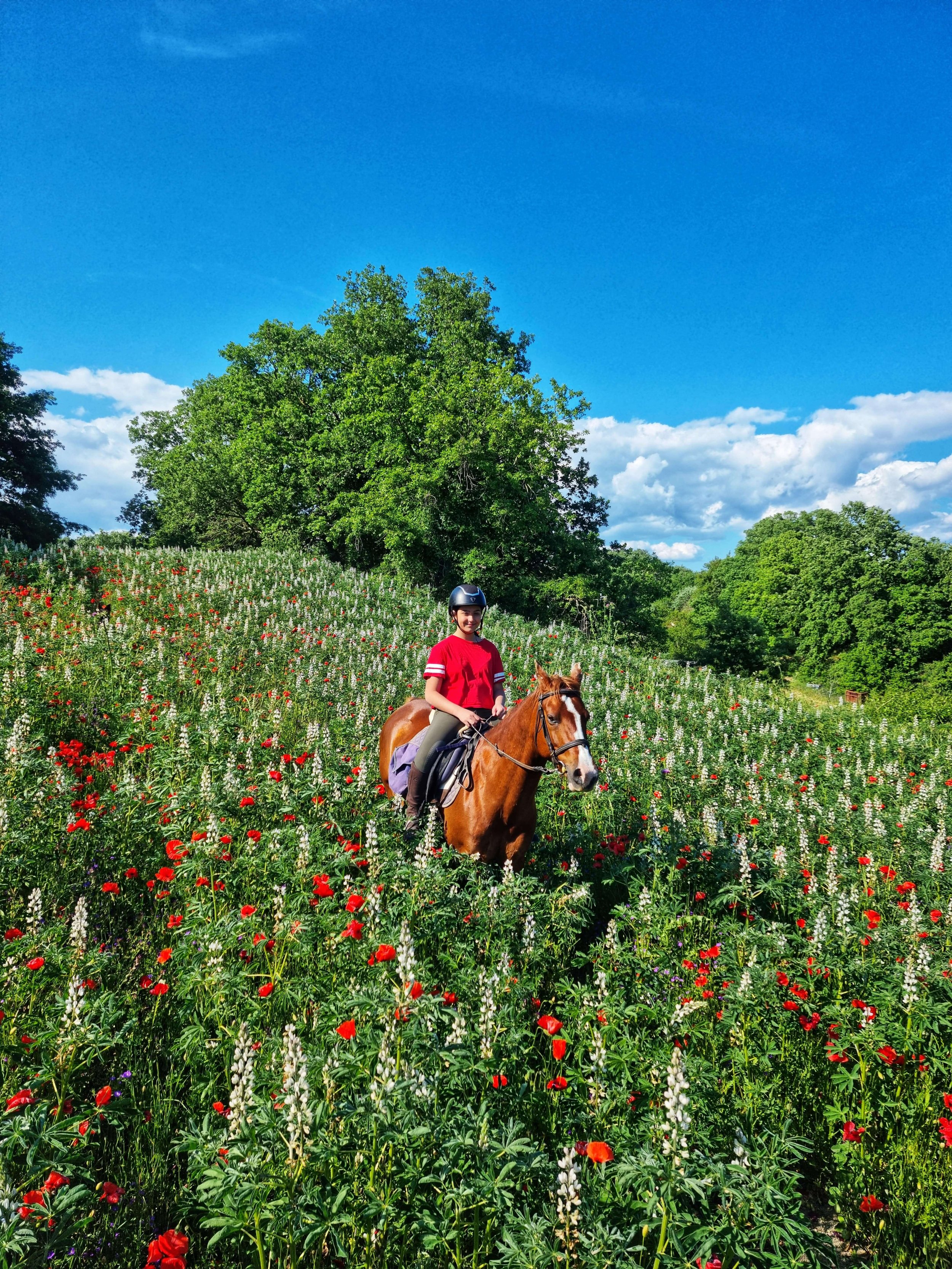 Italy castle estate ride World on Horseback23.jpeg