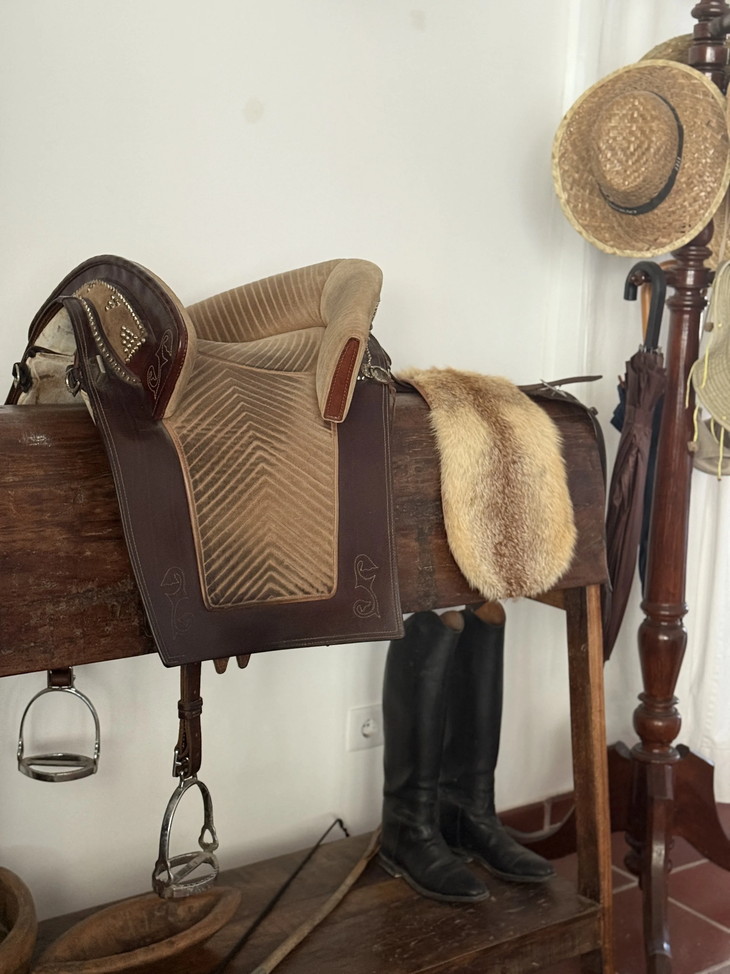 luxury dressage quinta portugal15.jpg