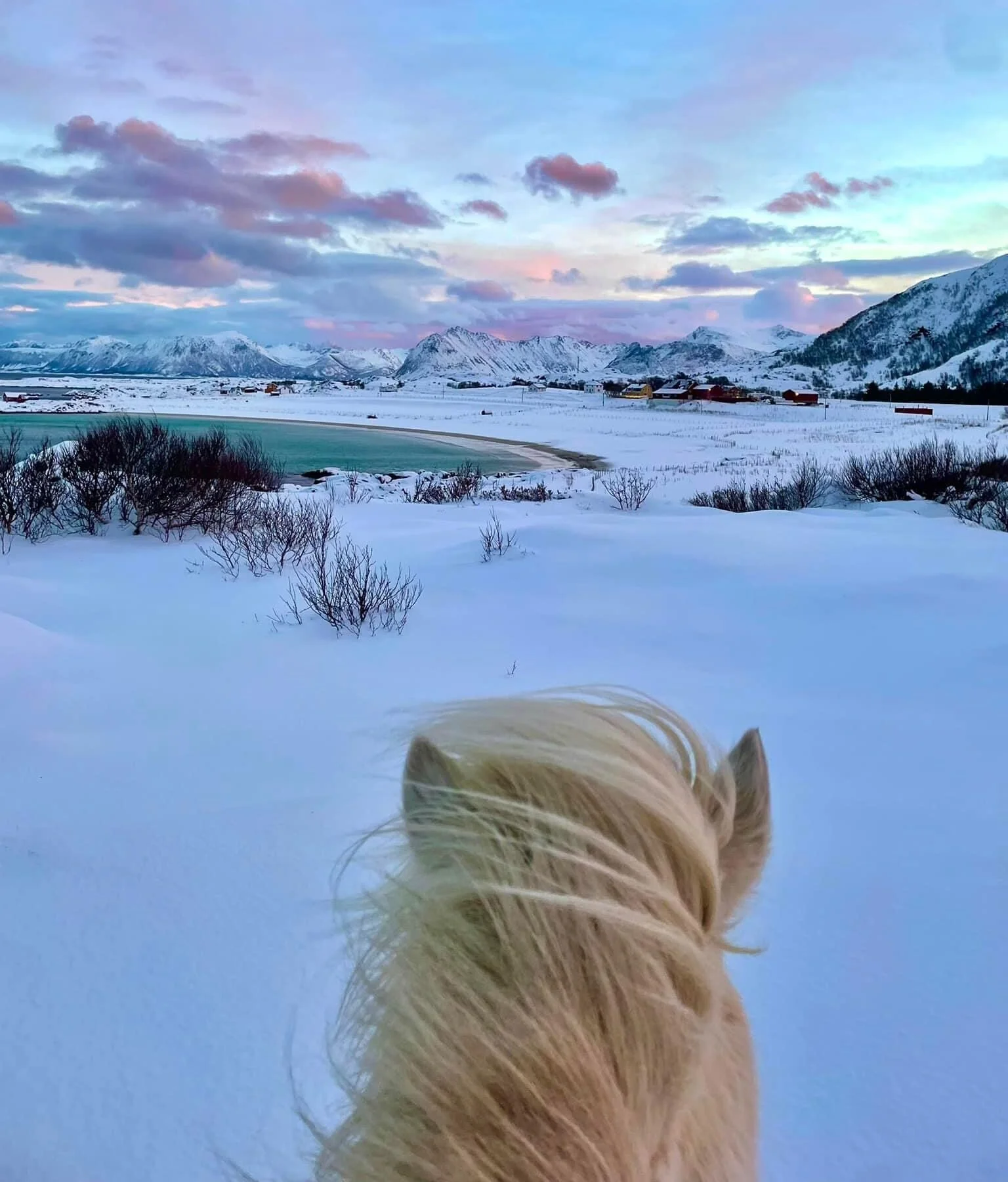 DAY 2- Snowfun and northern lights.jpg