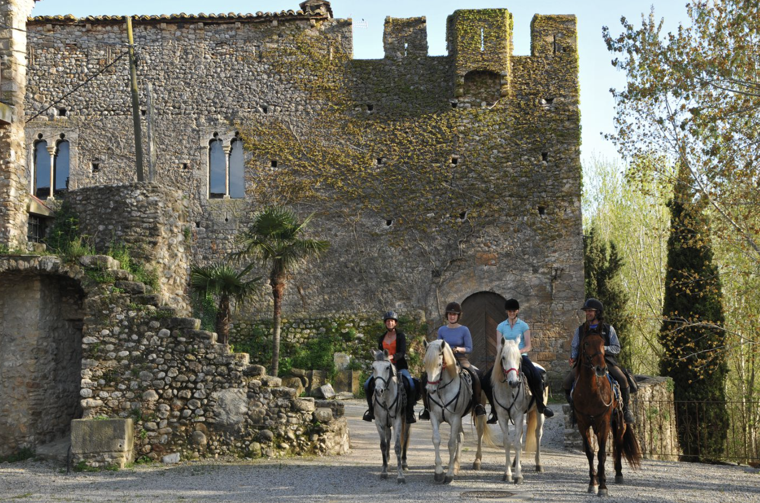 Mediterranean Trail horses.png
