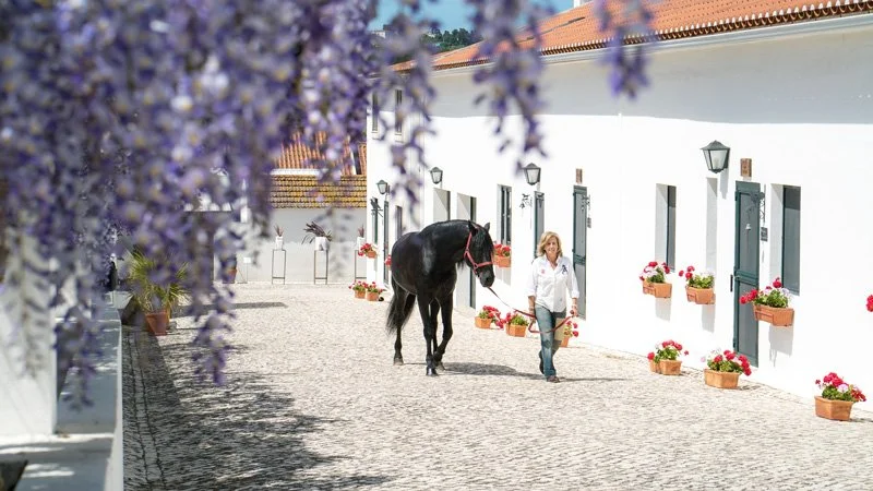 portugal lourinha World on Horseback8.jpg