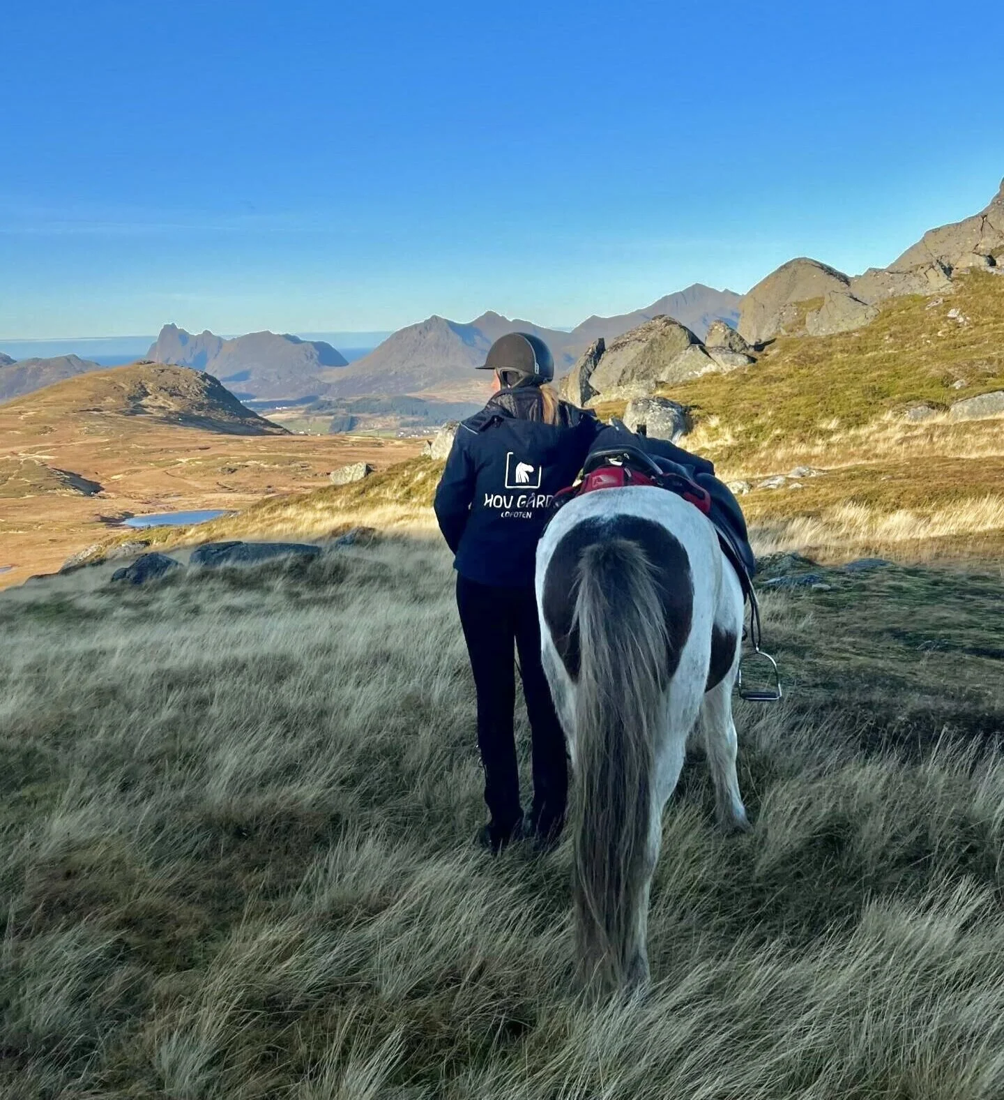DAY 4- mountains of lofoten.jpg