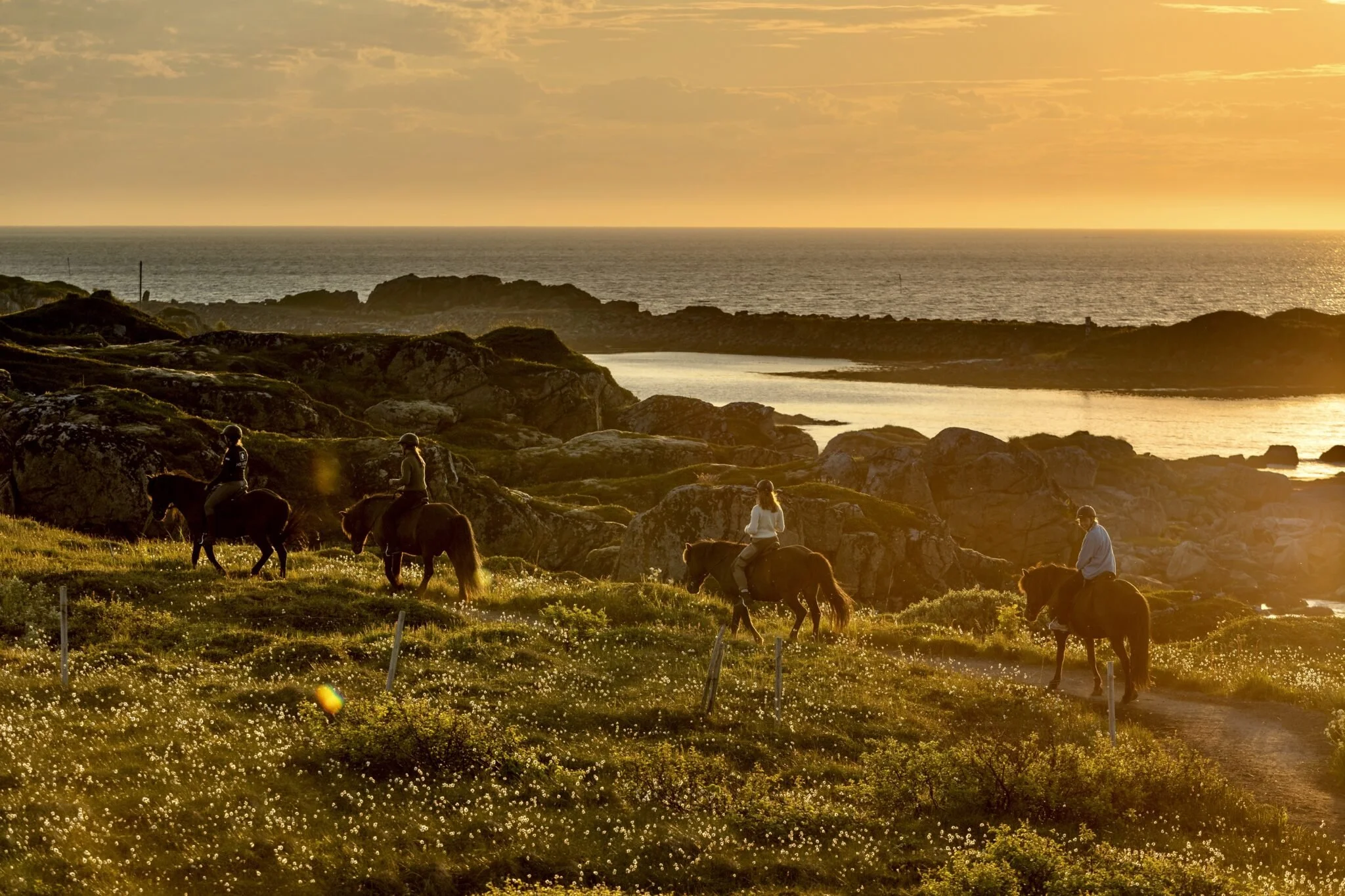 DAY 3- Classic tour lofoten horseriding.jpg