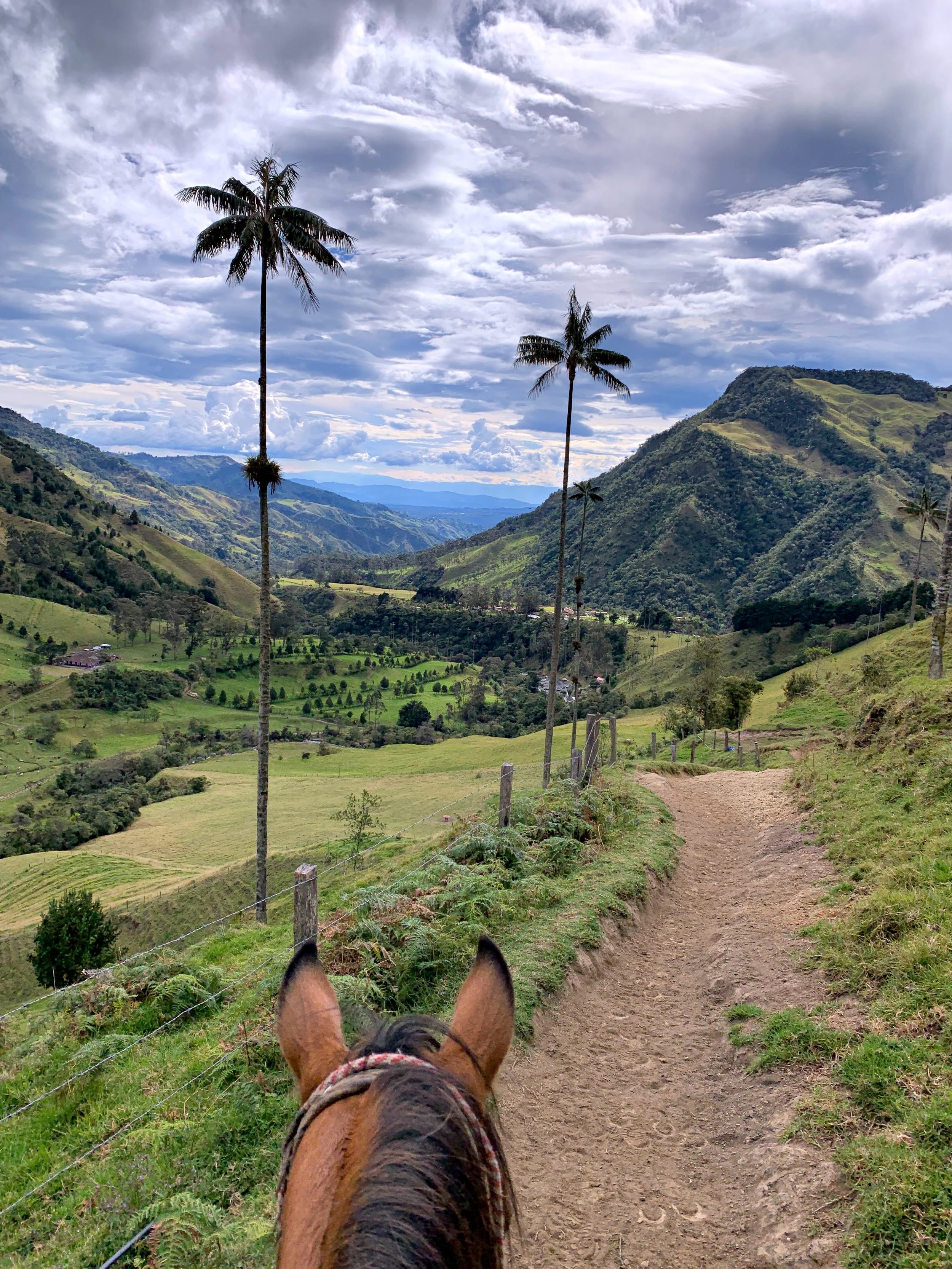 riding in colombia.jpg