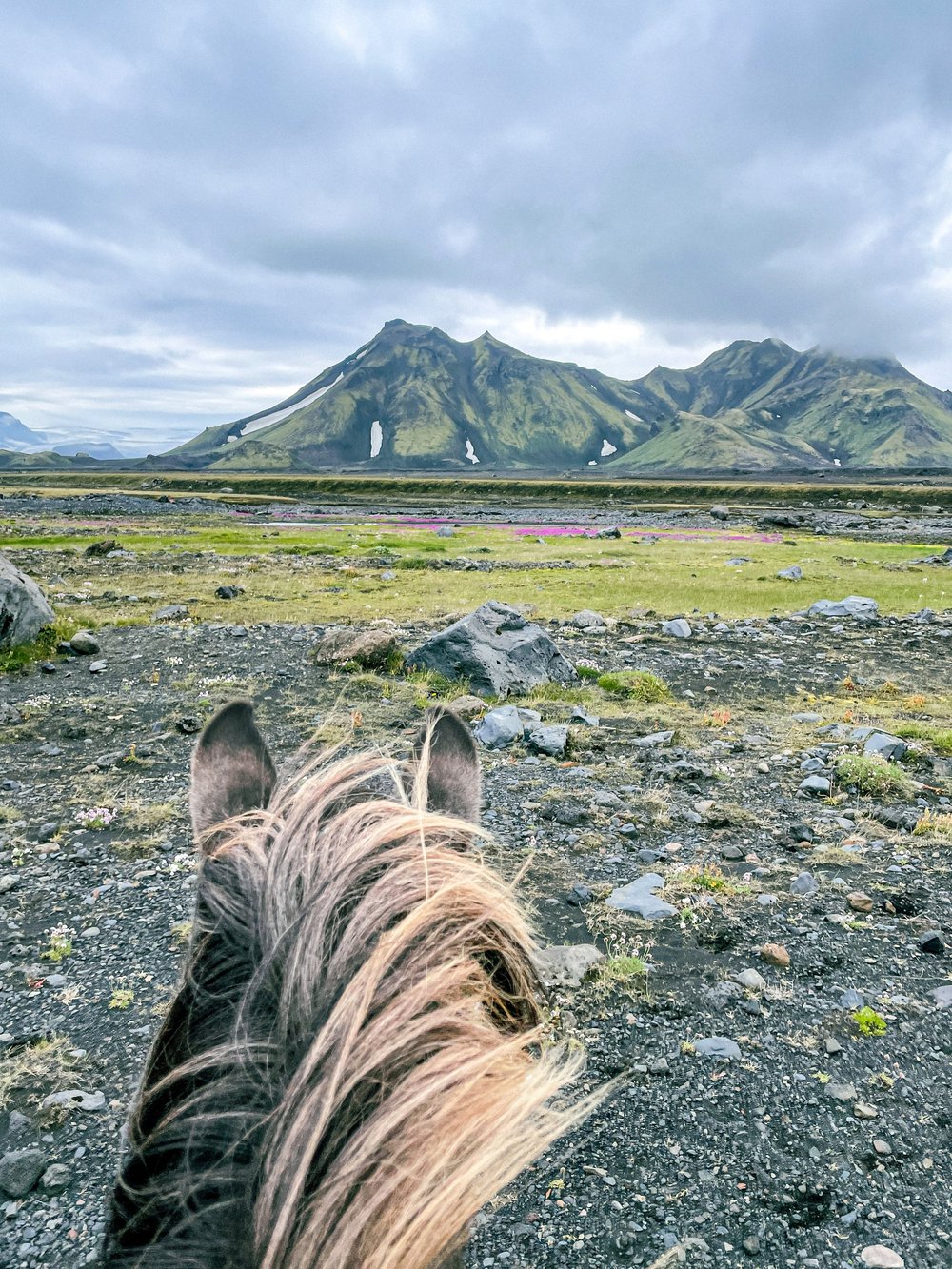 Icelandic horseback trip in Iceland
