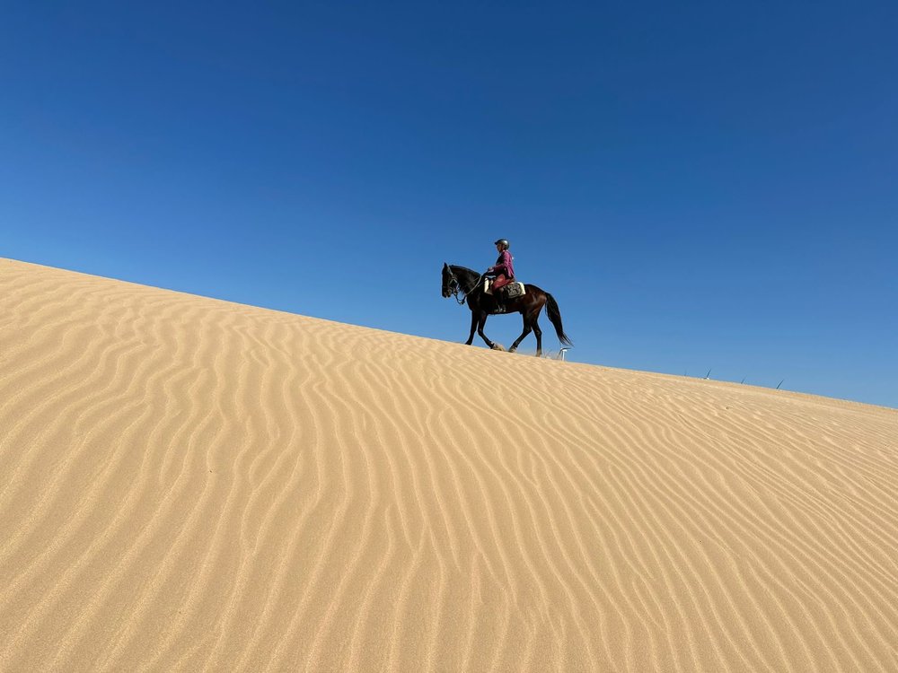 Horse riding in the Moroccan desert near Essaouira