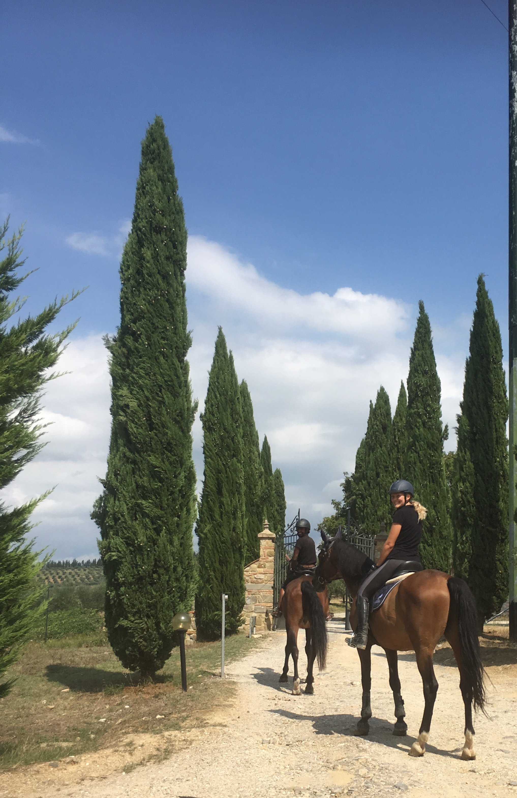 Ride dressage horses in Tuscany