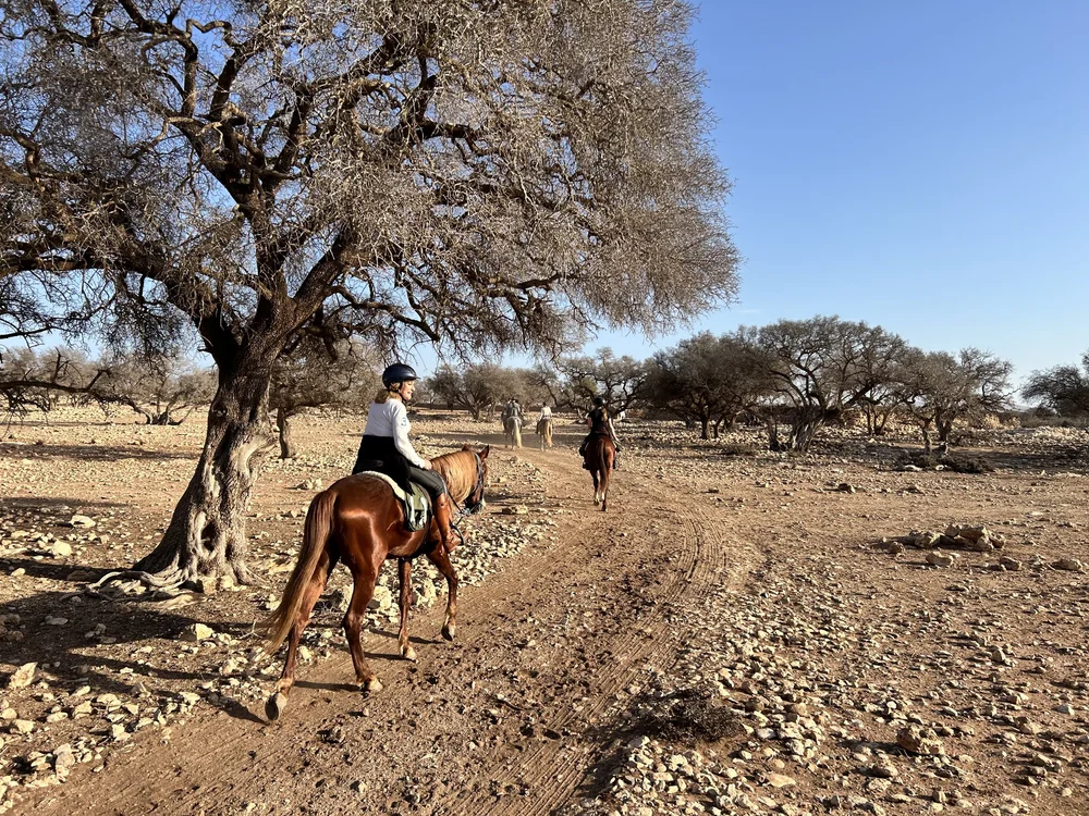 Horse riding trip in Morocco