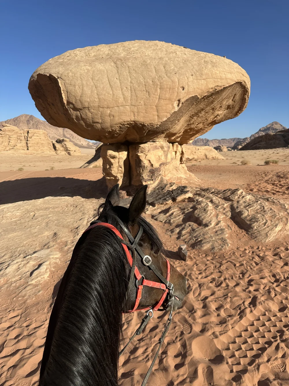 My horse riding trip in Jordan